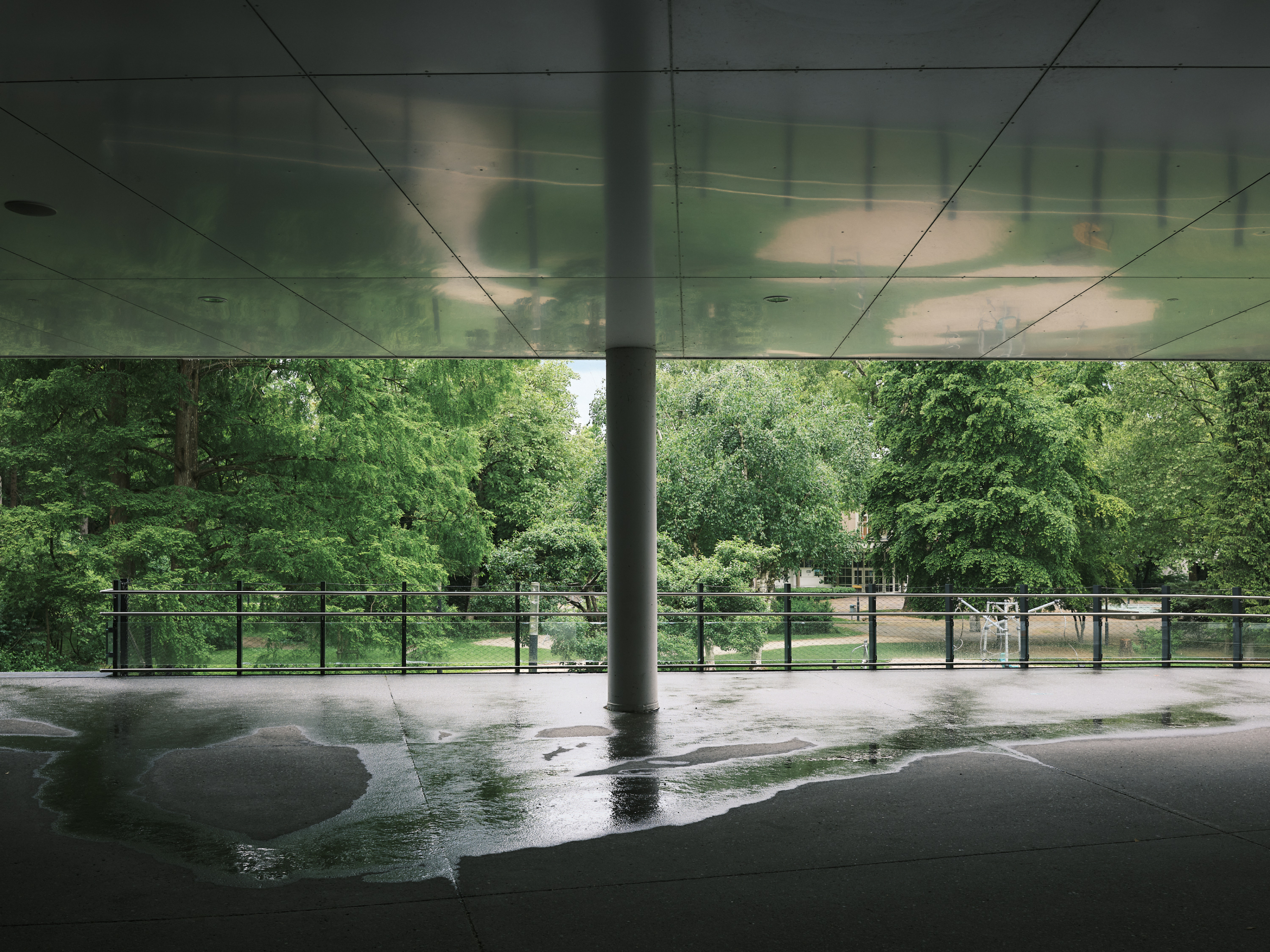 FUJIFILM GFX100 RF DSCF1997