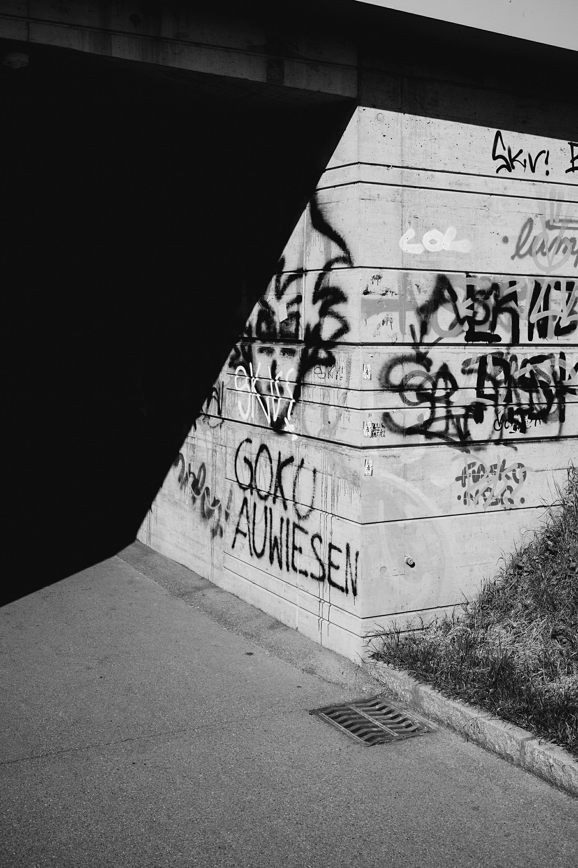 Leica Camera AG LEICA M11 P L1002071