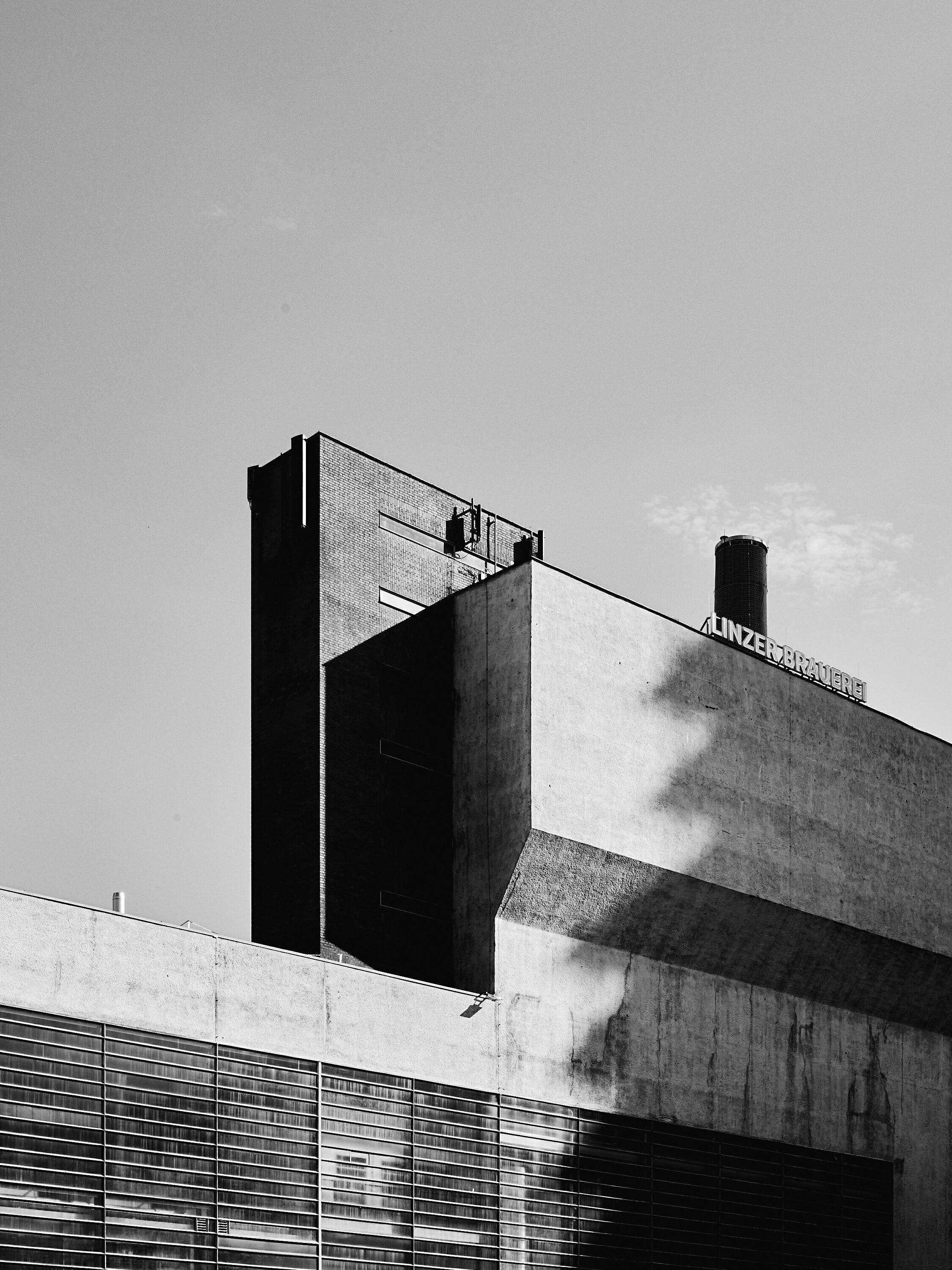 Leica Camera AG LEICA M11 P L1002085