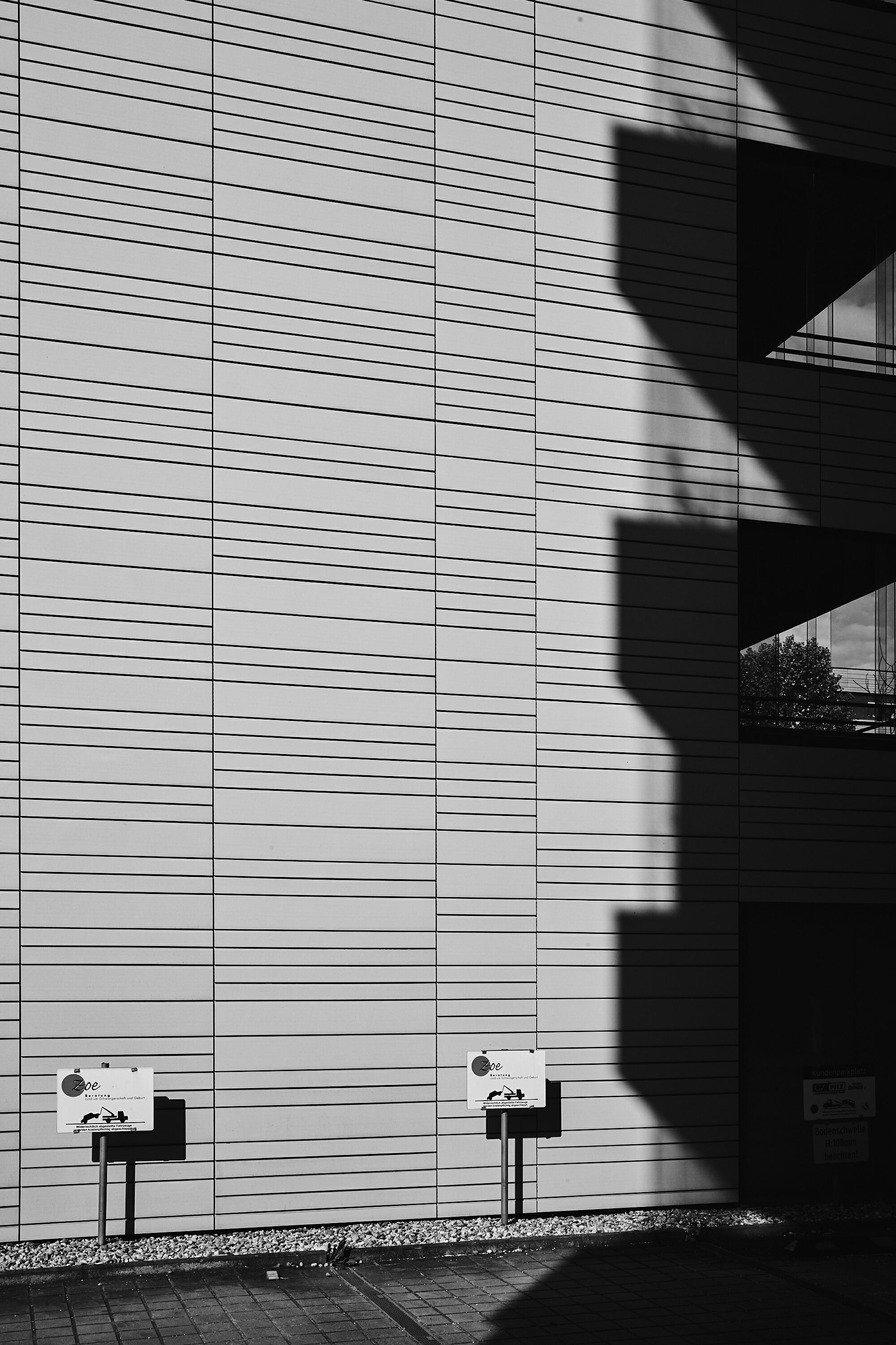 Leica Camera AG LEICA M11 P L1002088