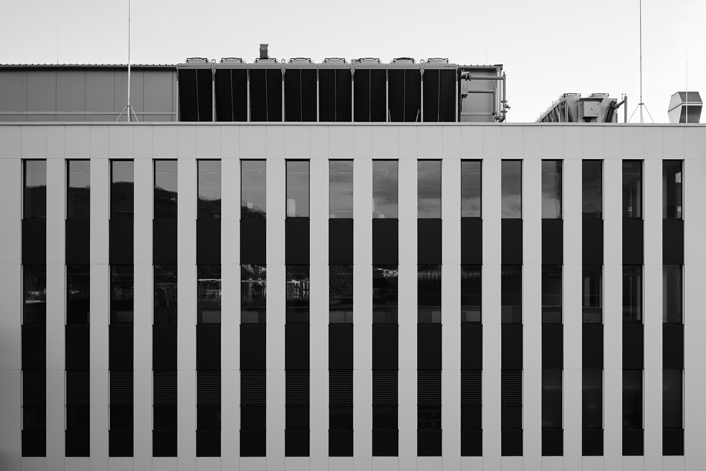 Leica Camera AG LEICA M11 P L1002112