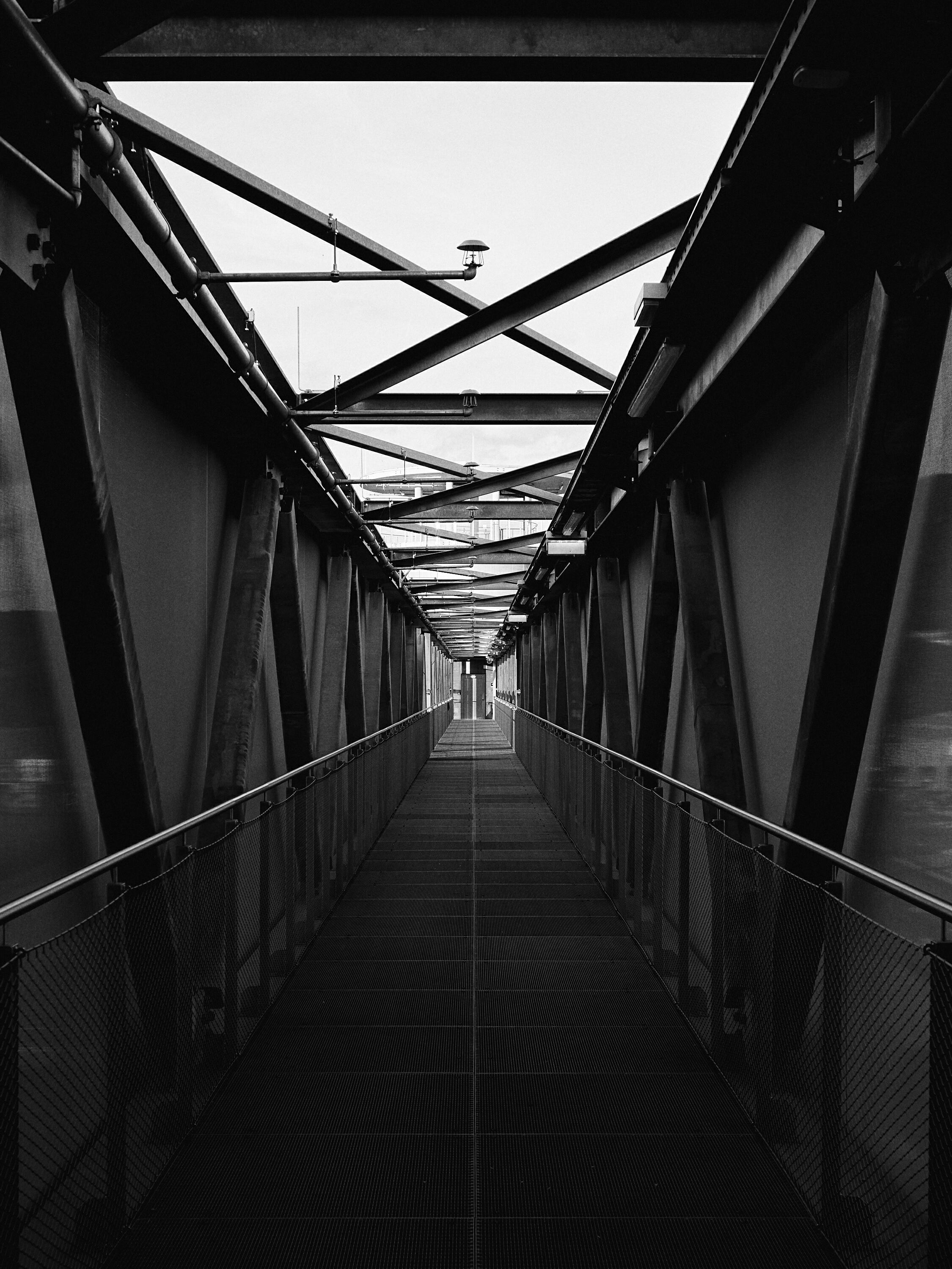 Leica Camera AG LEICA M11 P L1002130