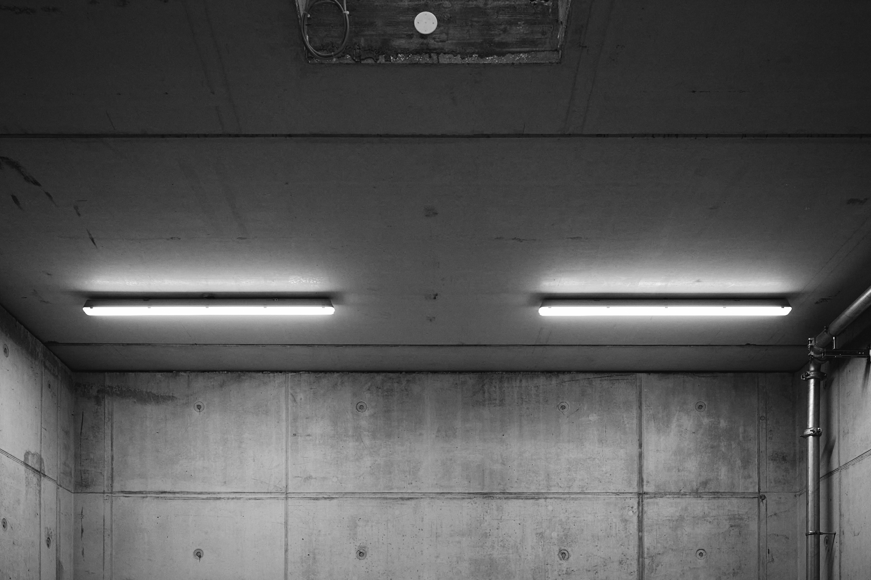 Leica Camera AG LEICA M11 P L1002134