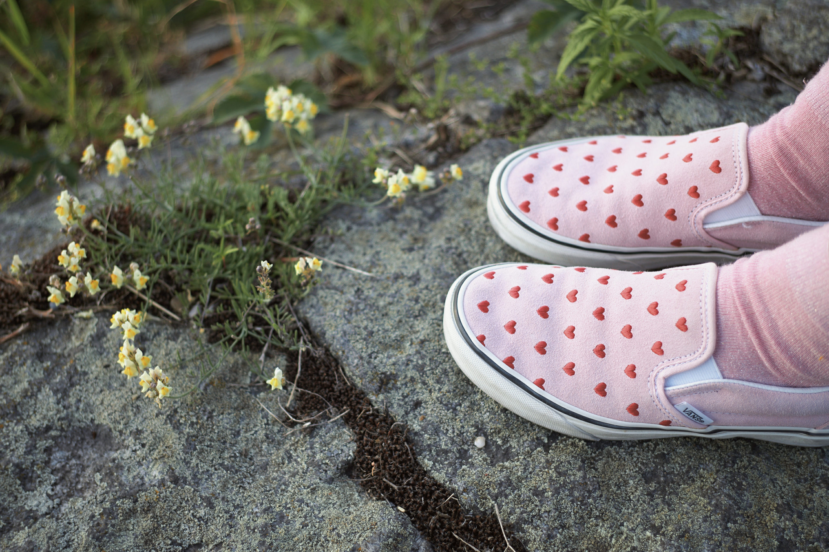 Leica Camera AG LEICA M11 P L1002156