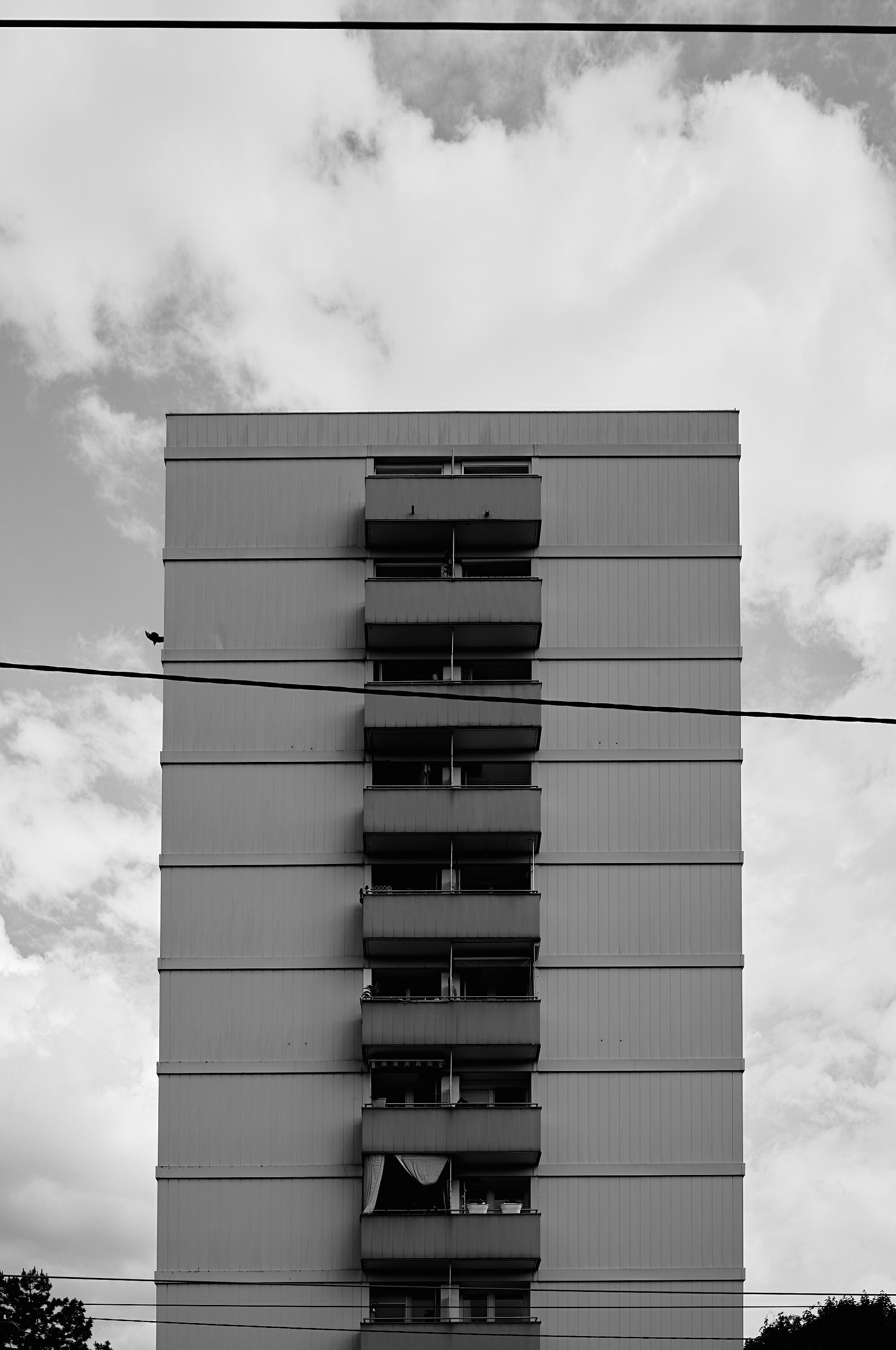 Leica Camera AG LEICA M11 P L1002175