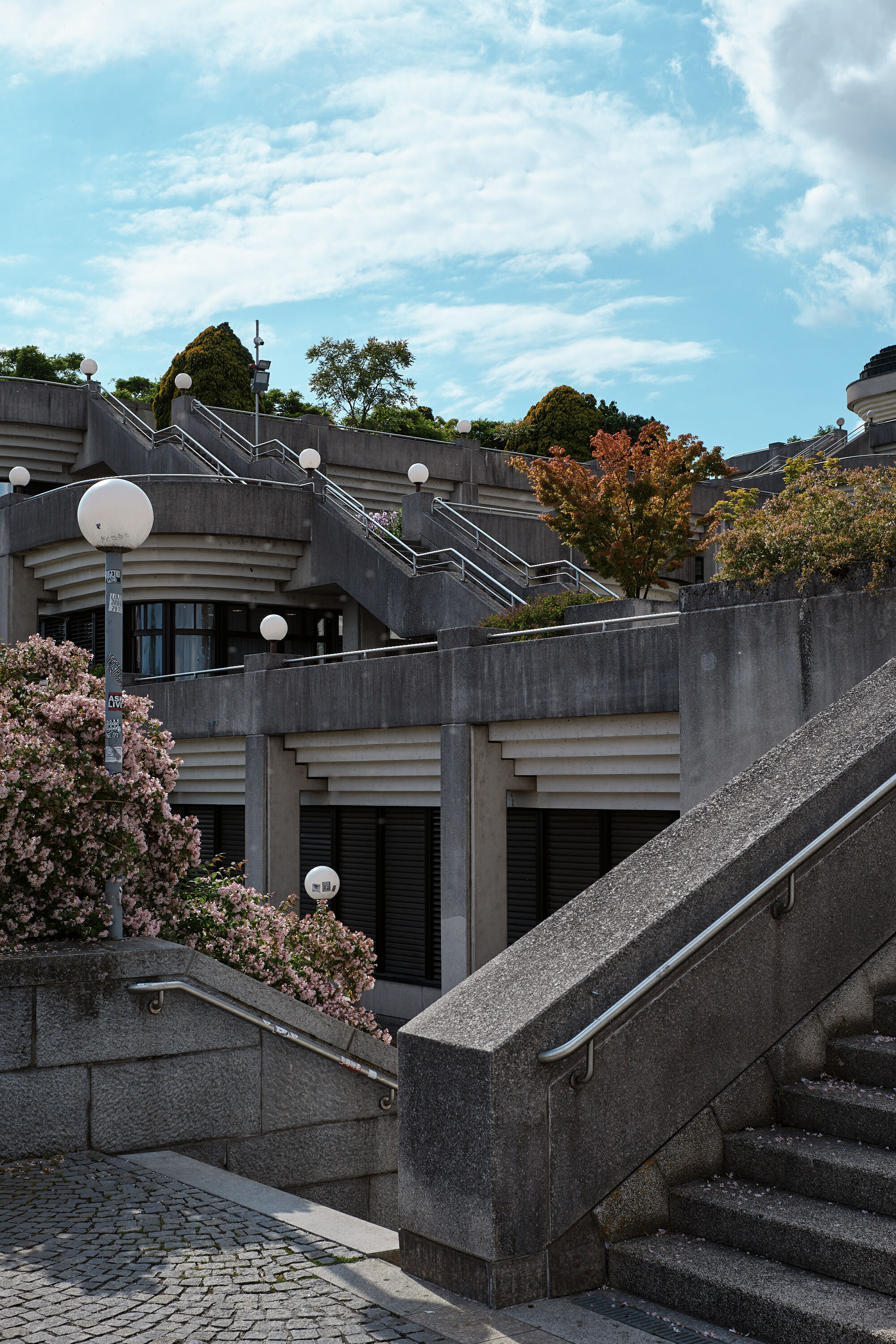 Leica Camera AG LEICA M11 P L1002218