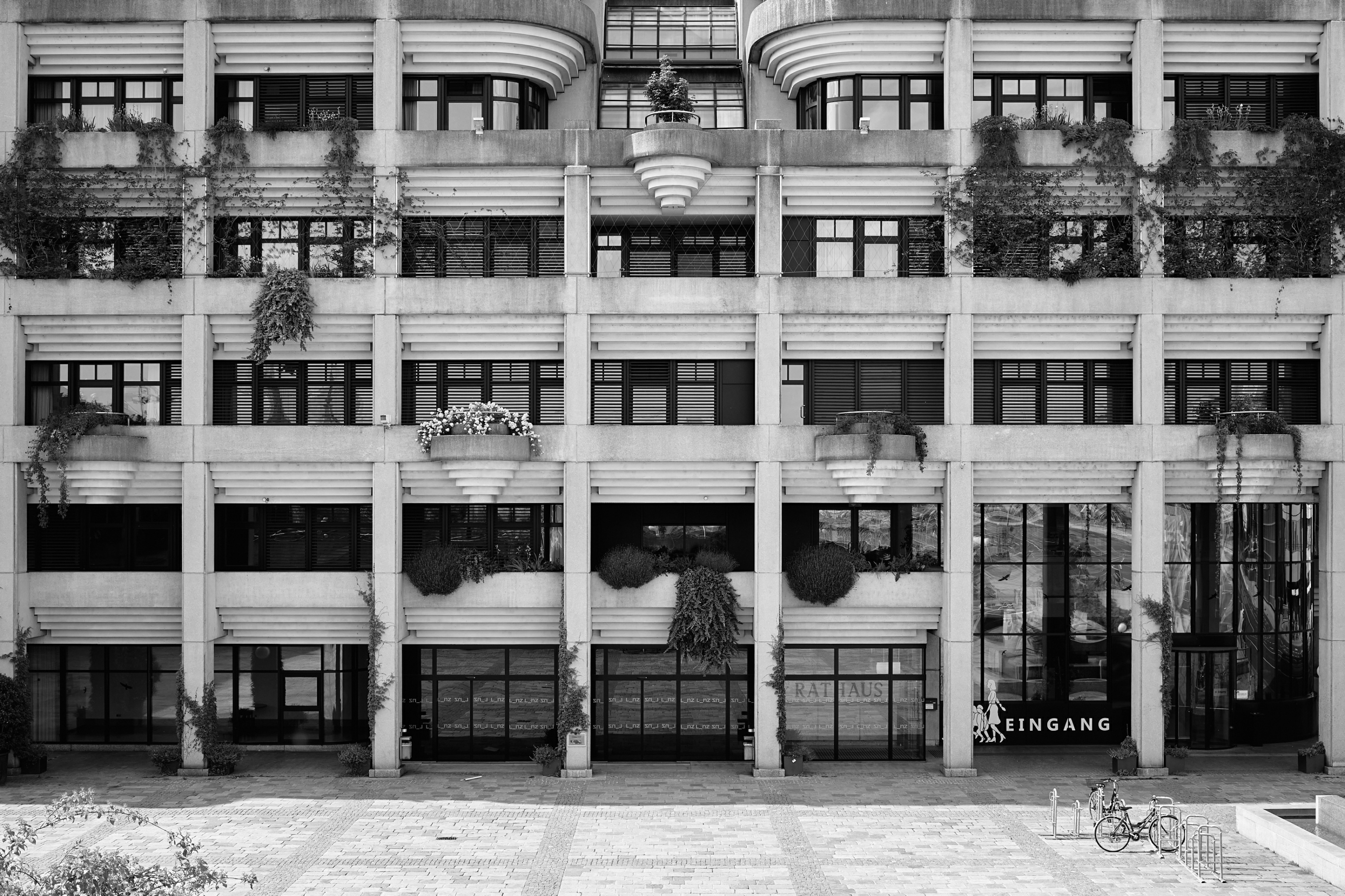 Leica Camera AG LEICA M11 P L1002221