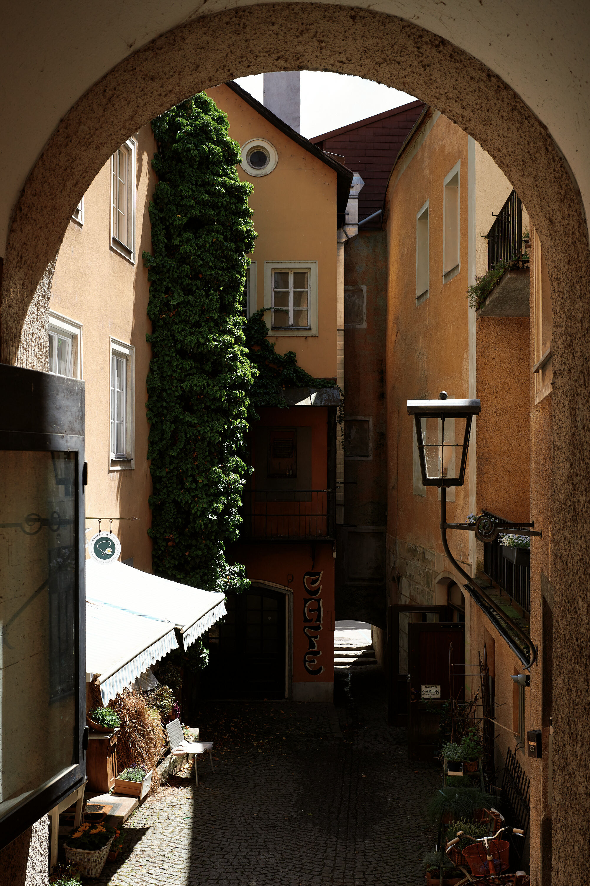 Leica Camera AG LEICA M11 P L1002265