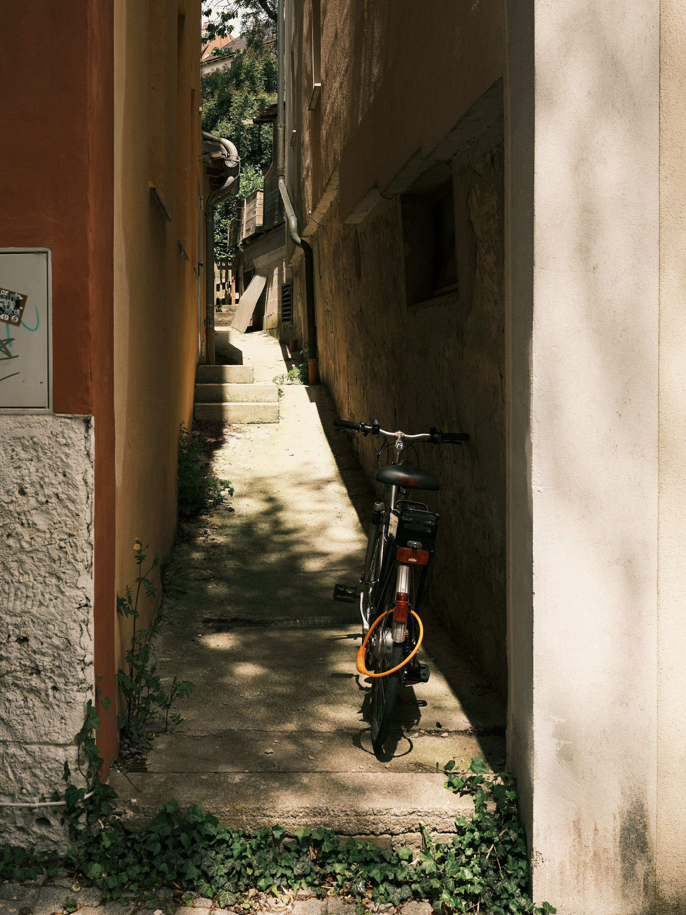 FUJIFILM GFX100 RF DSCF2058