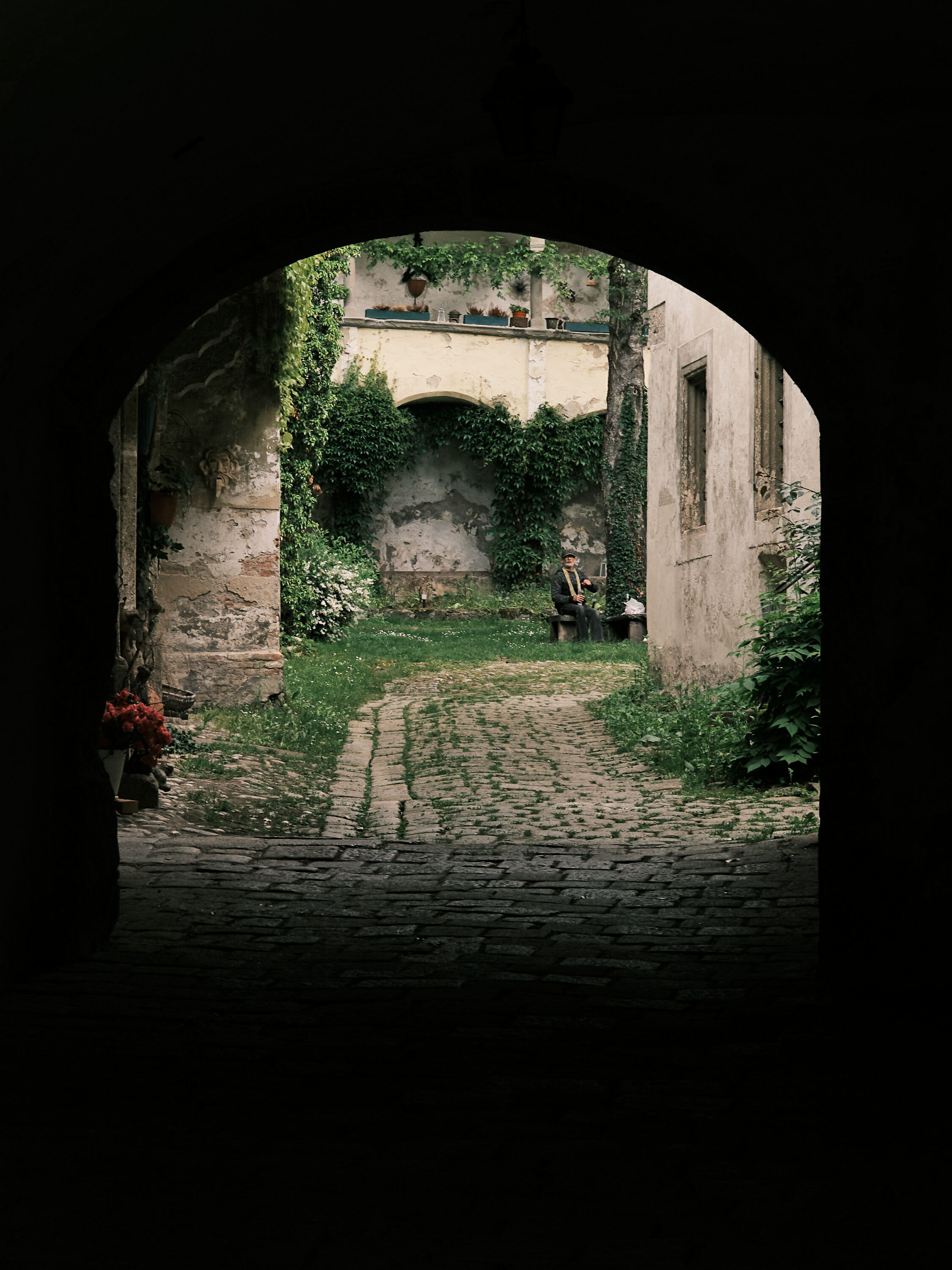 FUJIFILM GFX100 RF DSCF2070