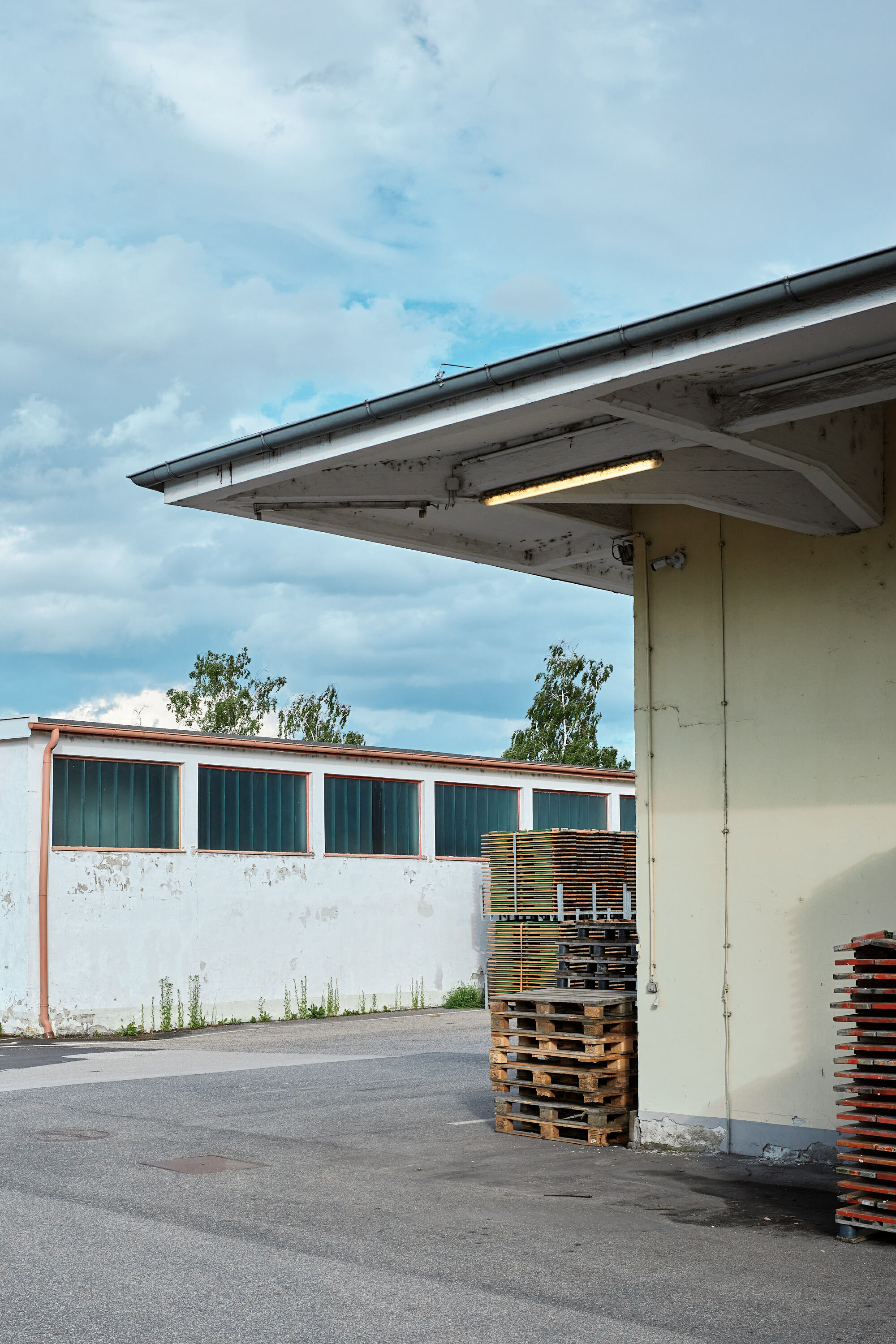 Leica Camera AG LEICA M11 P L1002328