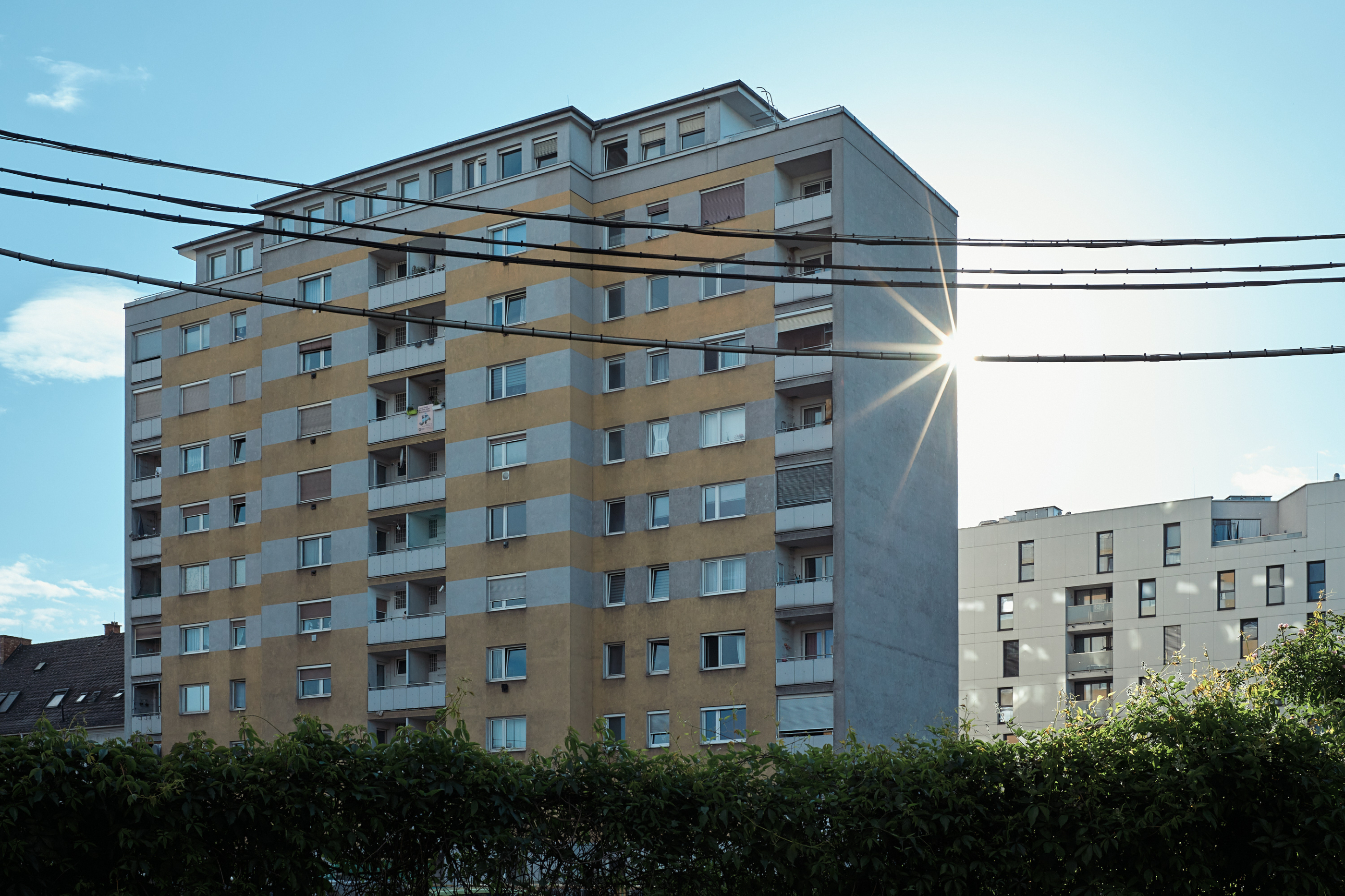 Leica Camera AG LEICA M11 P L1002358