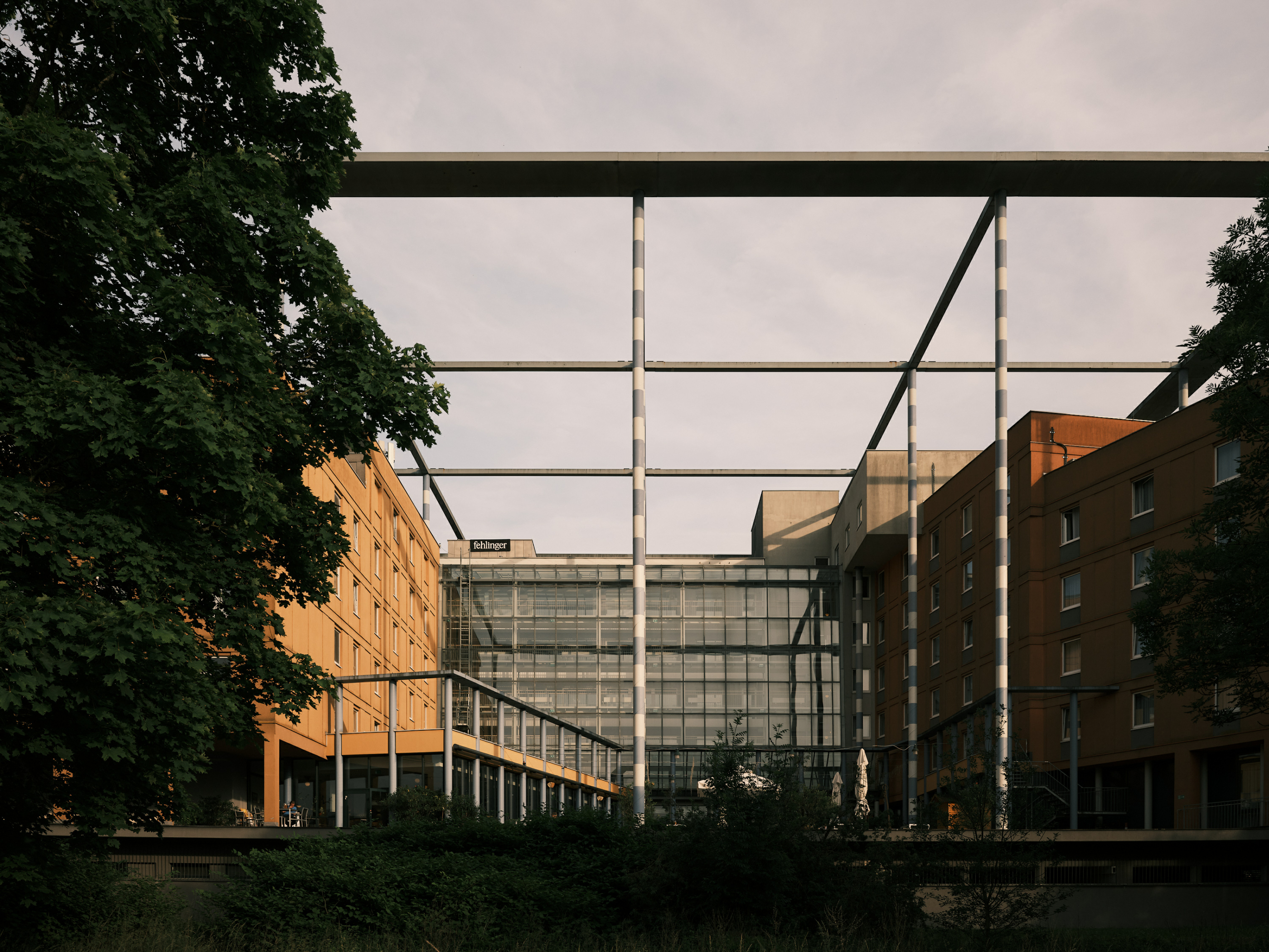 FUJIFILM GFX100 RF DSCF2156