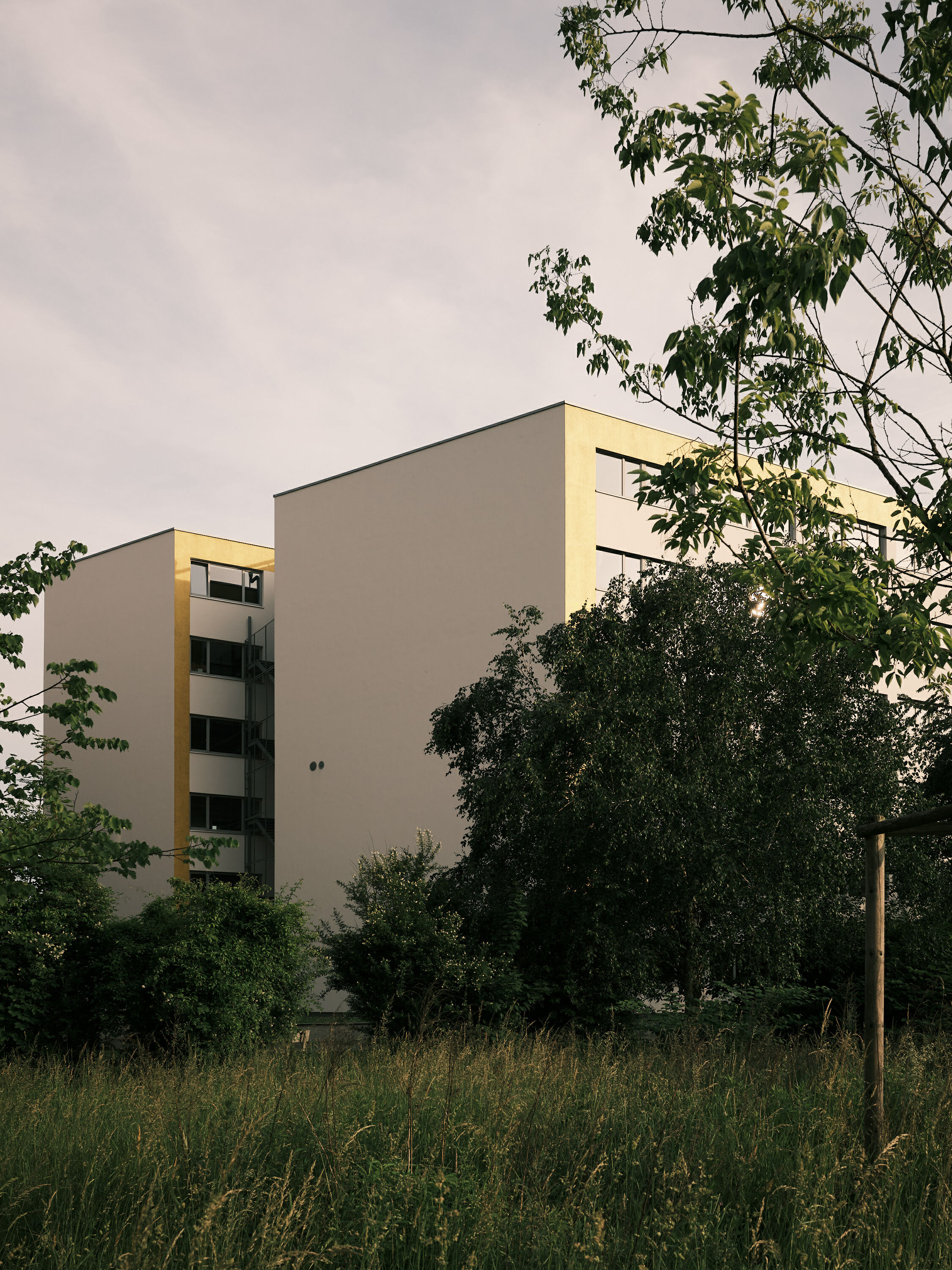 FUJIFILM GFX100 RF DSCF2157