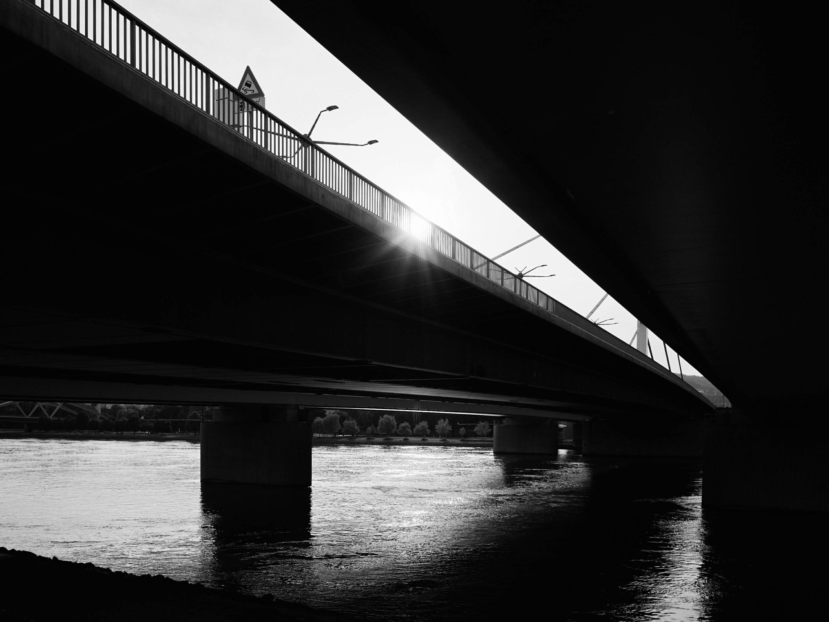 FUJIFILM GFX100 RF DSCF2162