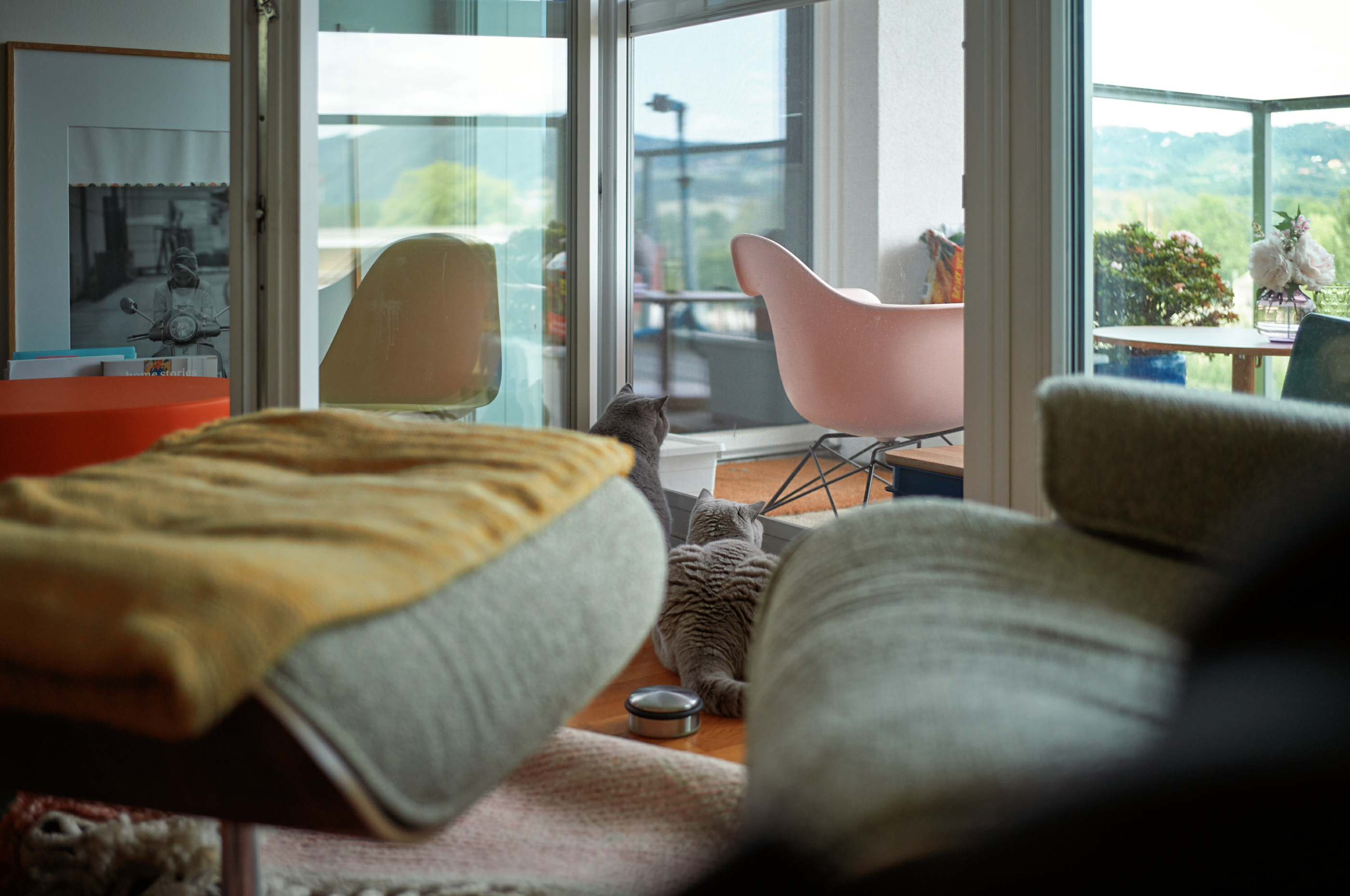 Leica Camera AG LEICA M11 P L1002369