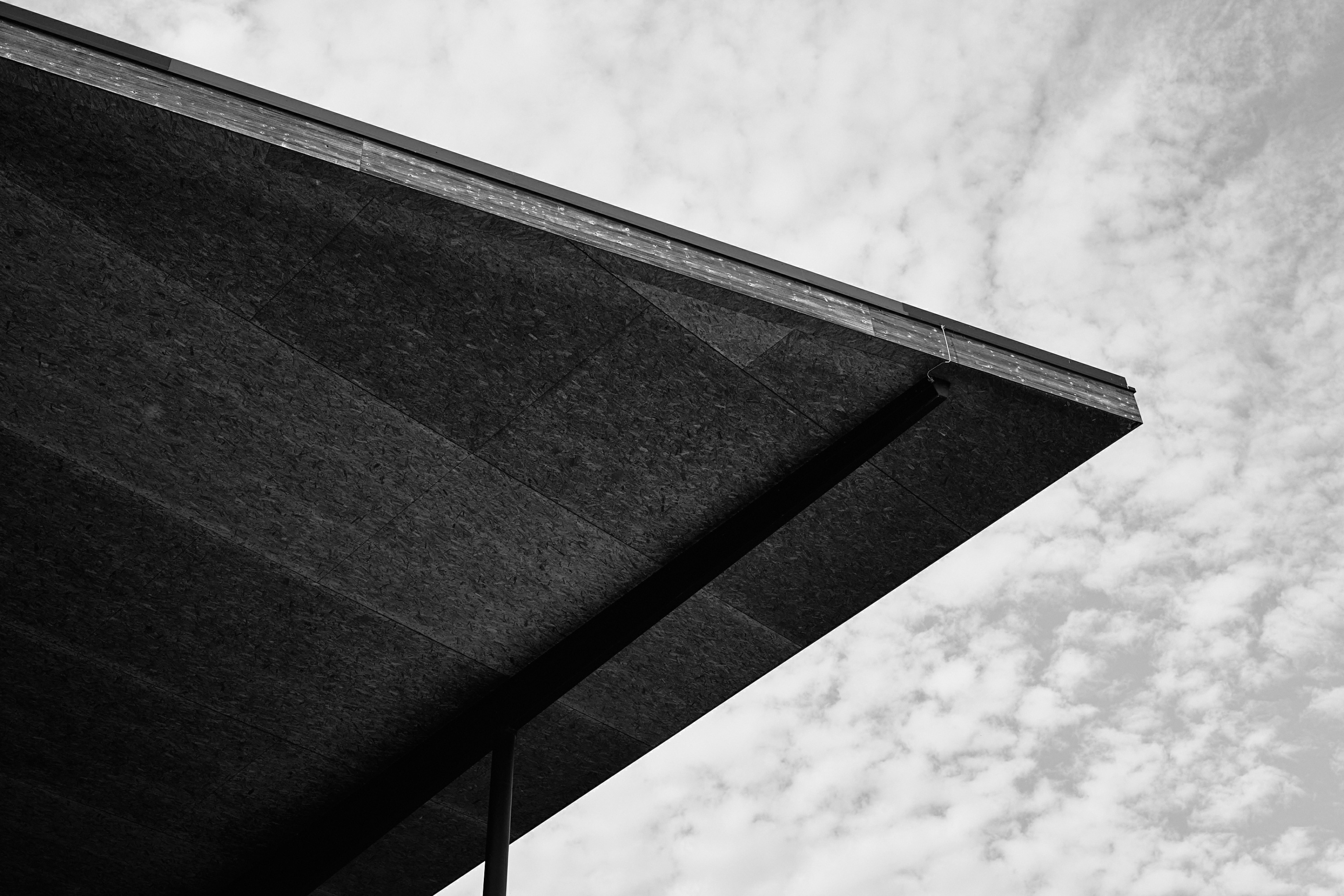 Leica Camera AG LEICA M11 P L1002372