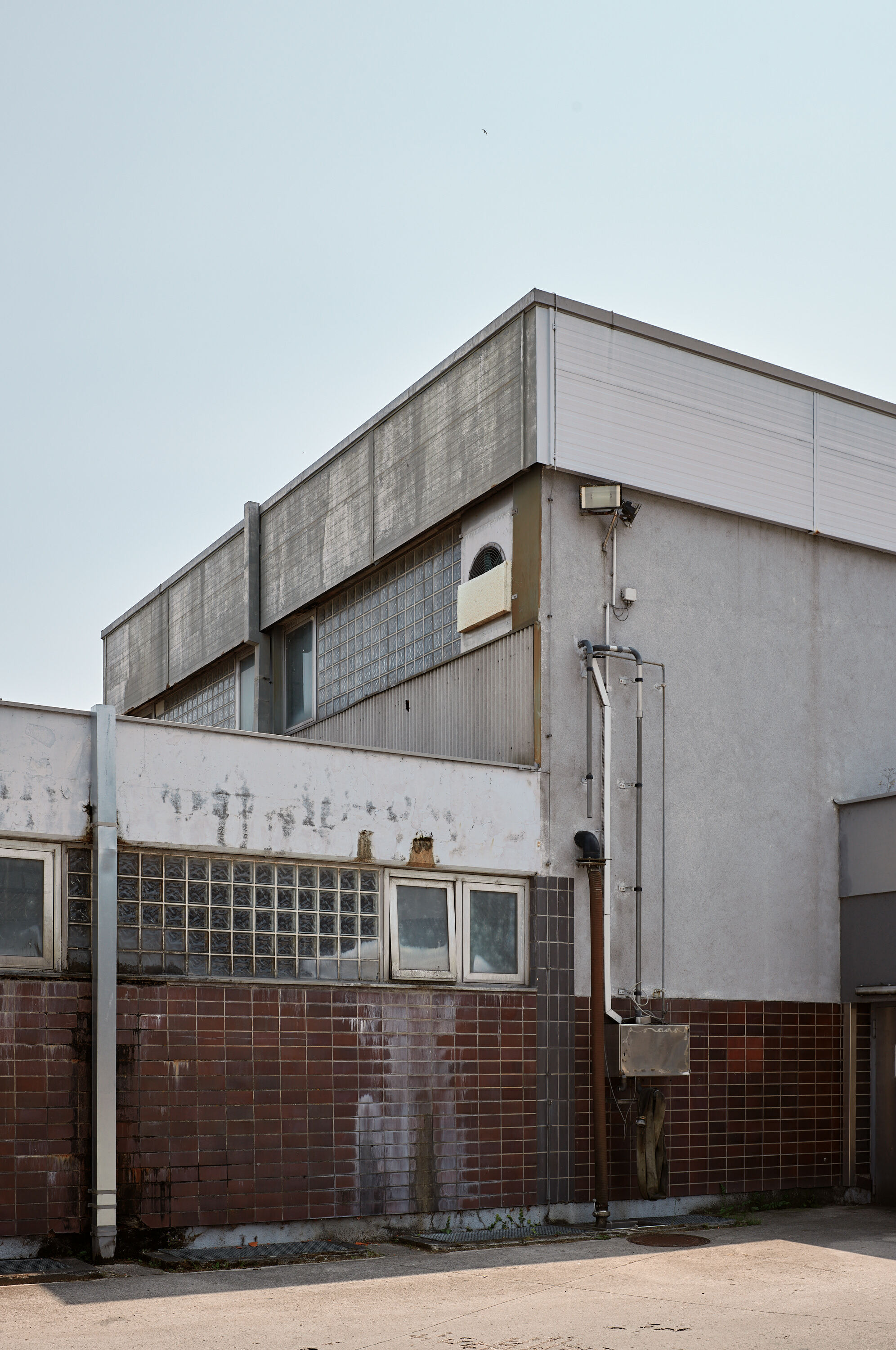 Leica Camera AG LEICA M11 P L1002502