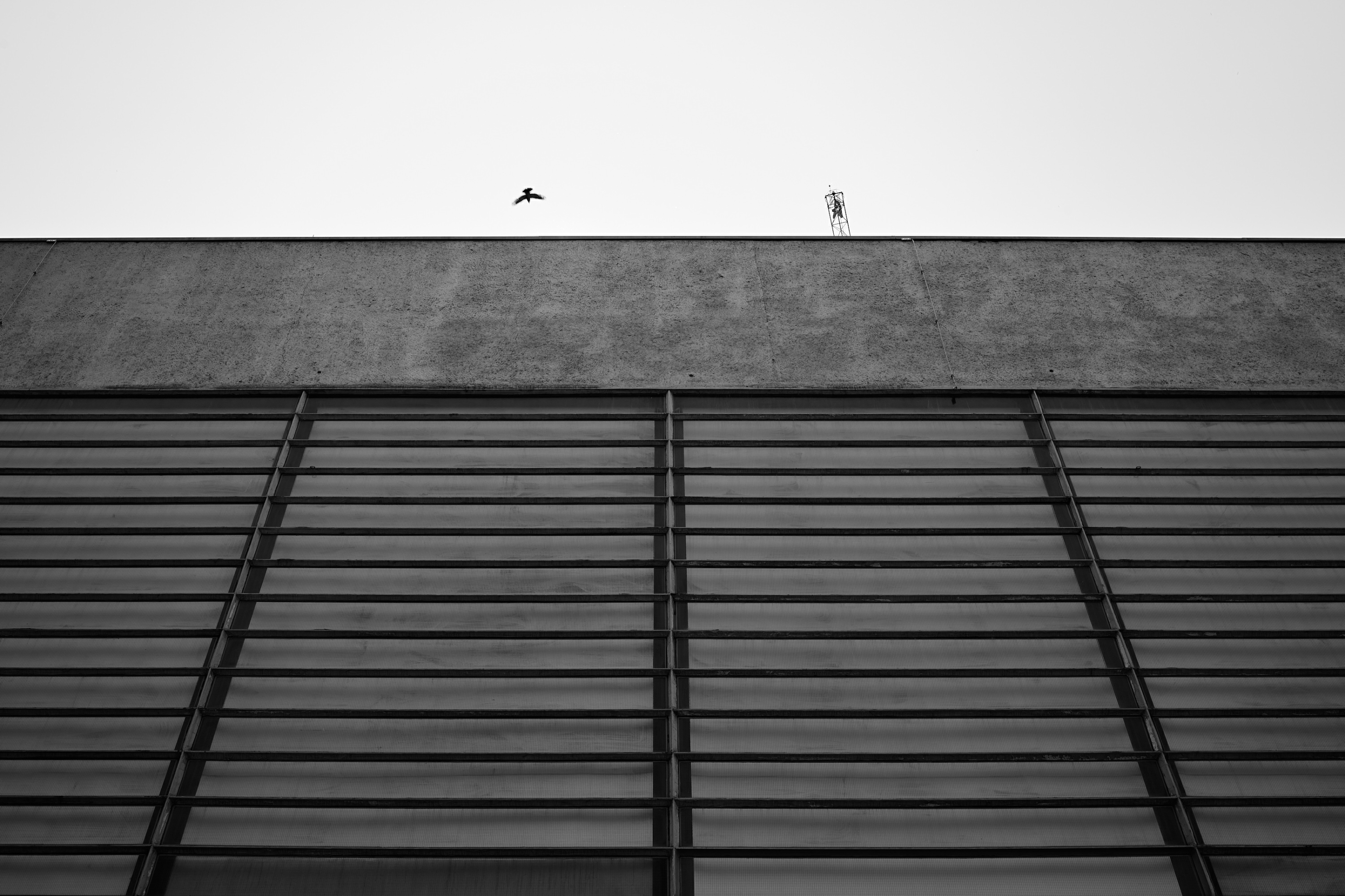 Leica Camera AG LEICA M11 P L1002522
