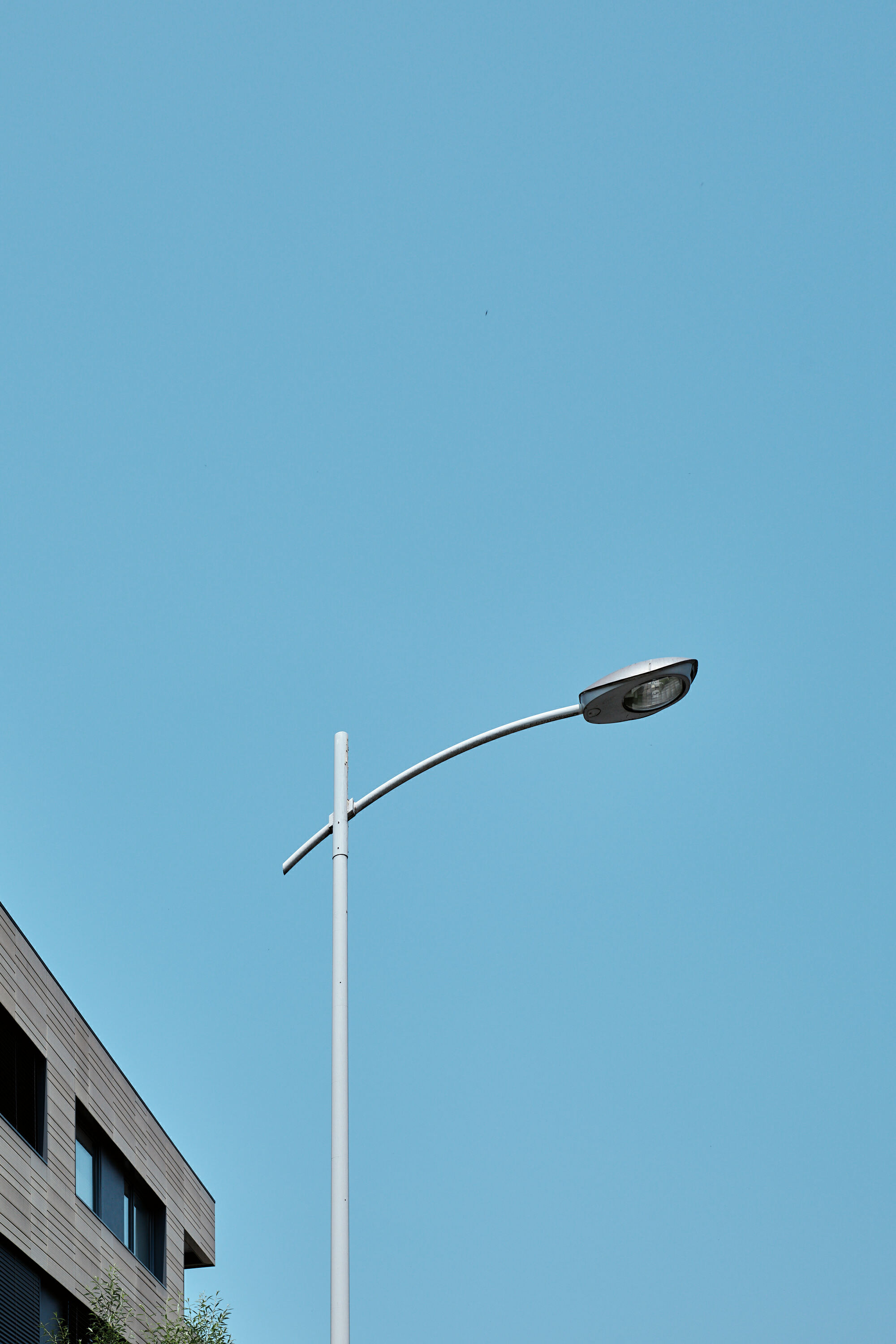 Leica Camera AG LEICA M11 P L1002534