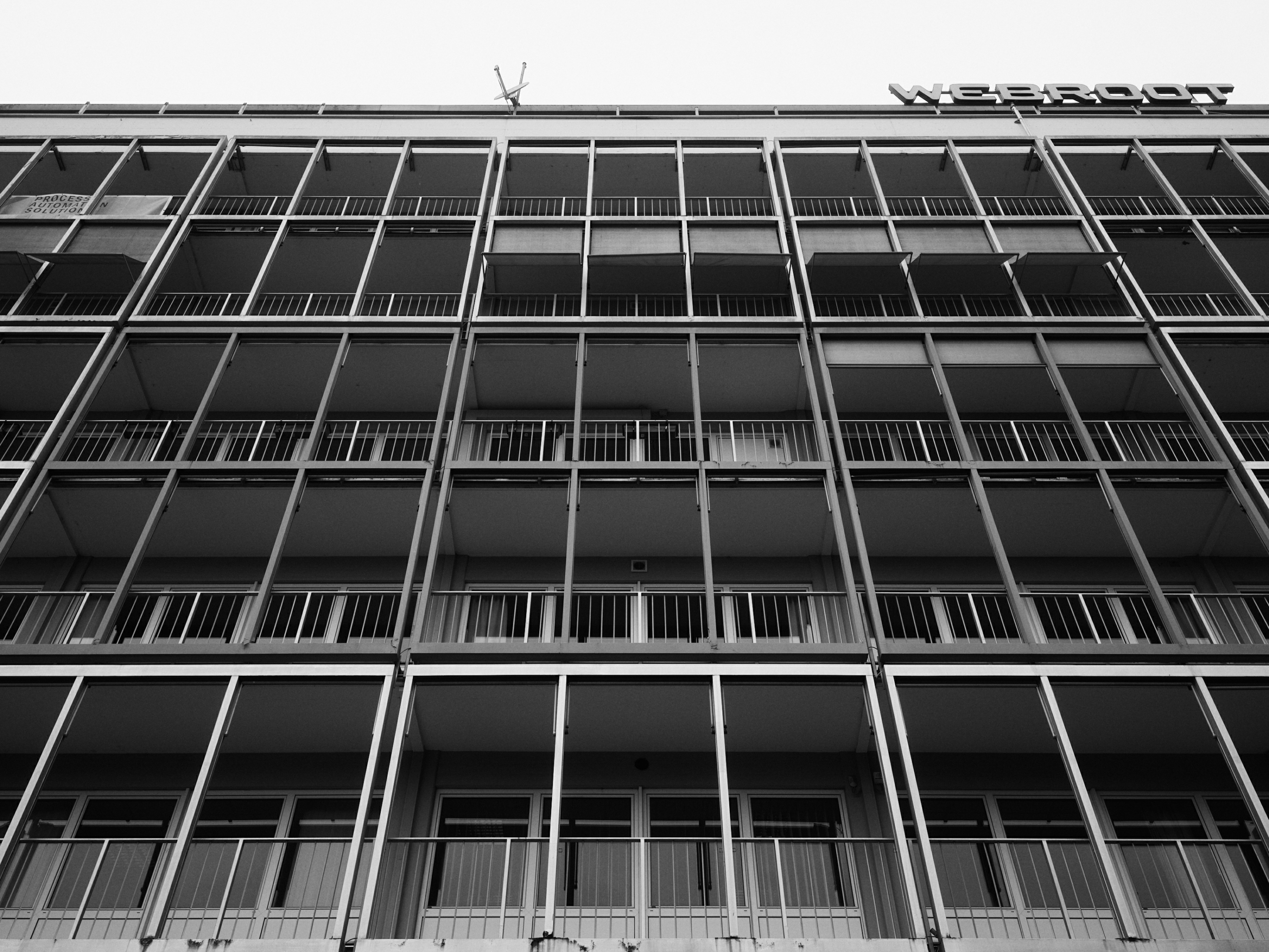 FUJIFILM GFX100 RF DSCF2230