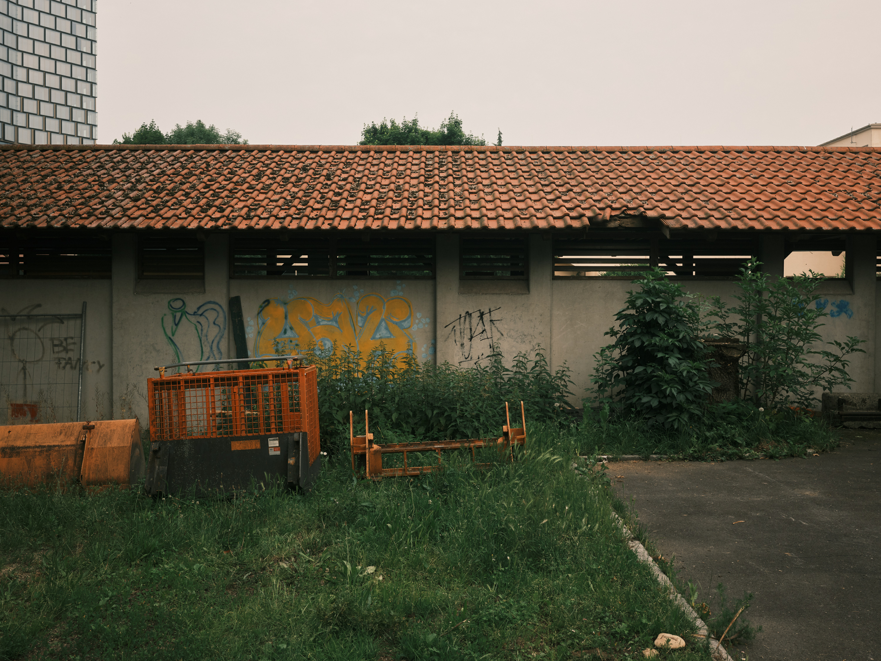 FUJIFILM GFX100 RF DSCF2248