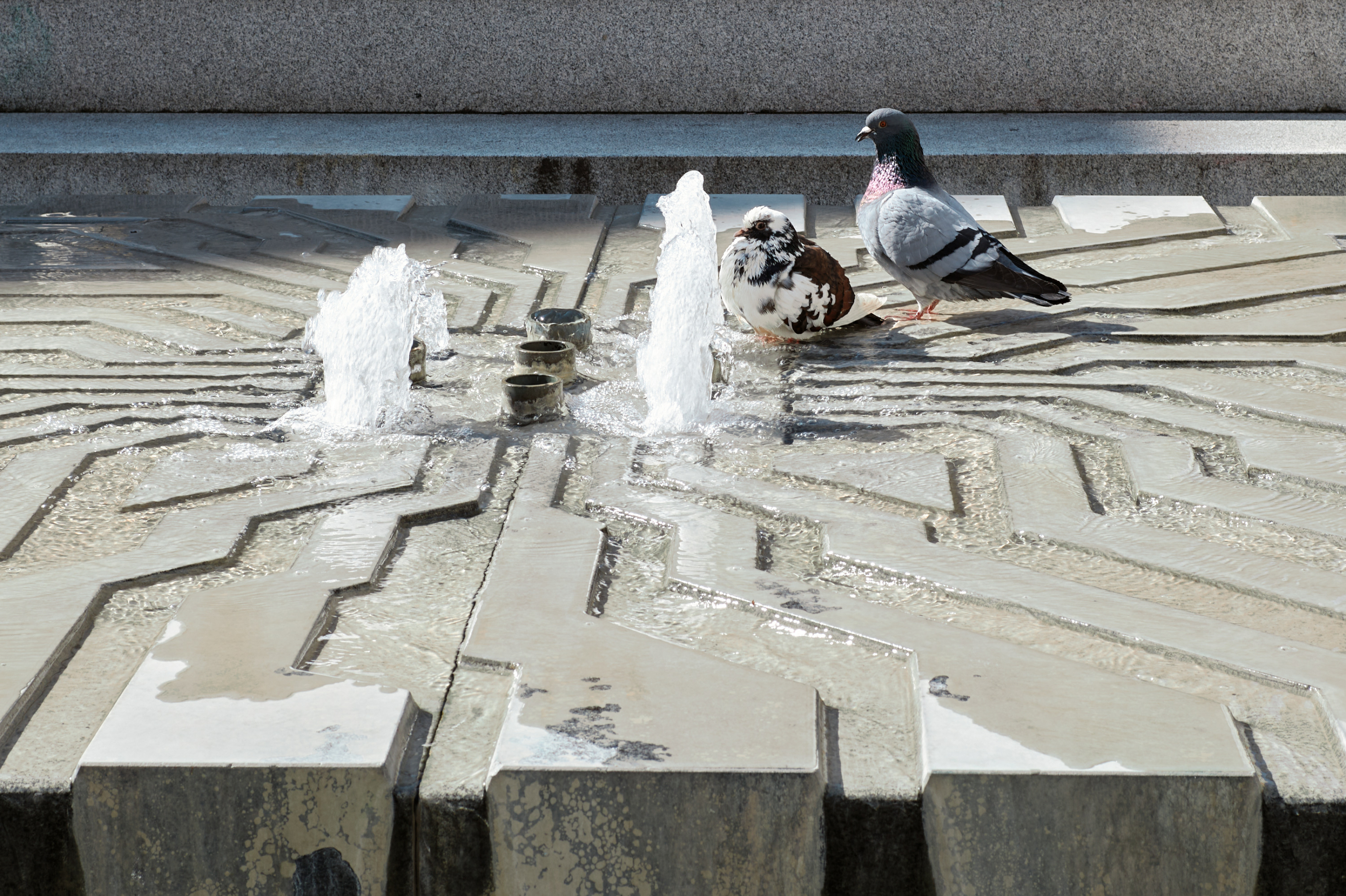 Leica Camera AG LEICA M11 P L1002541