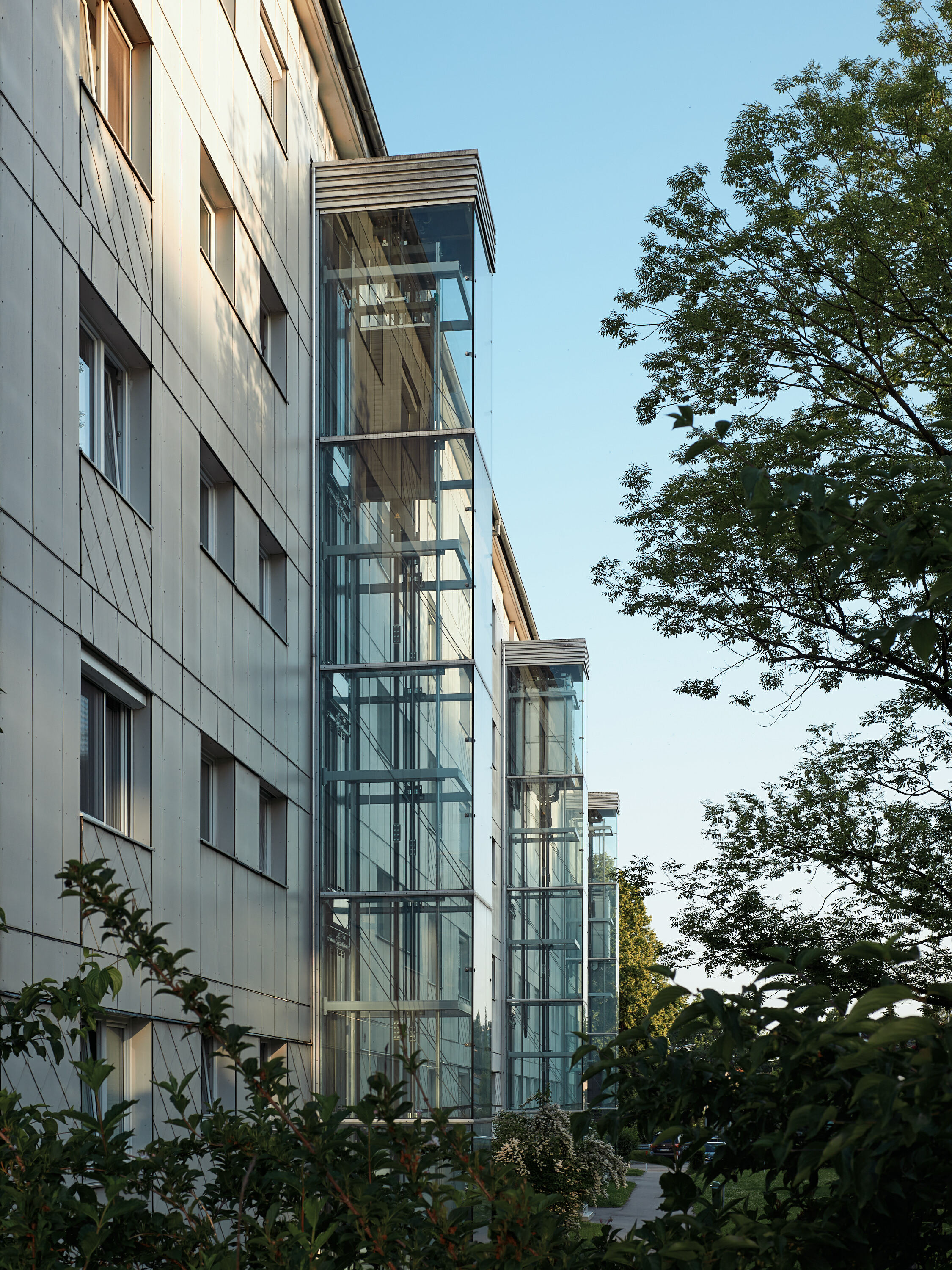 Leica Camera AG LEICA M11 P L1002621