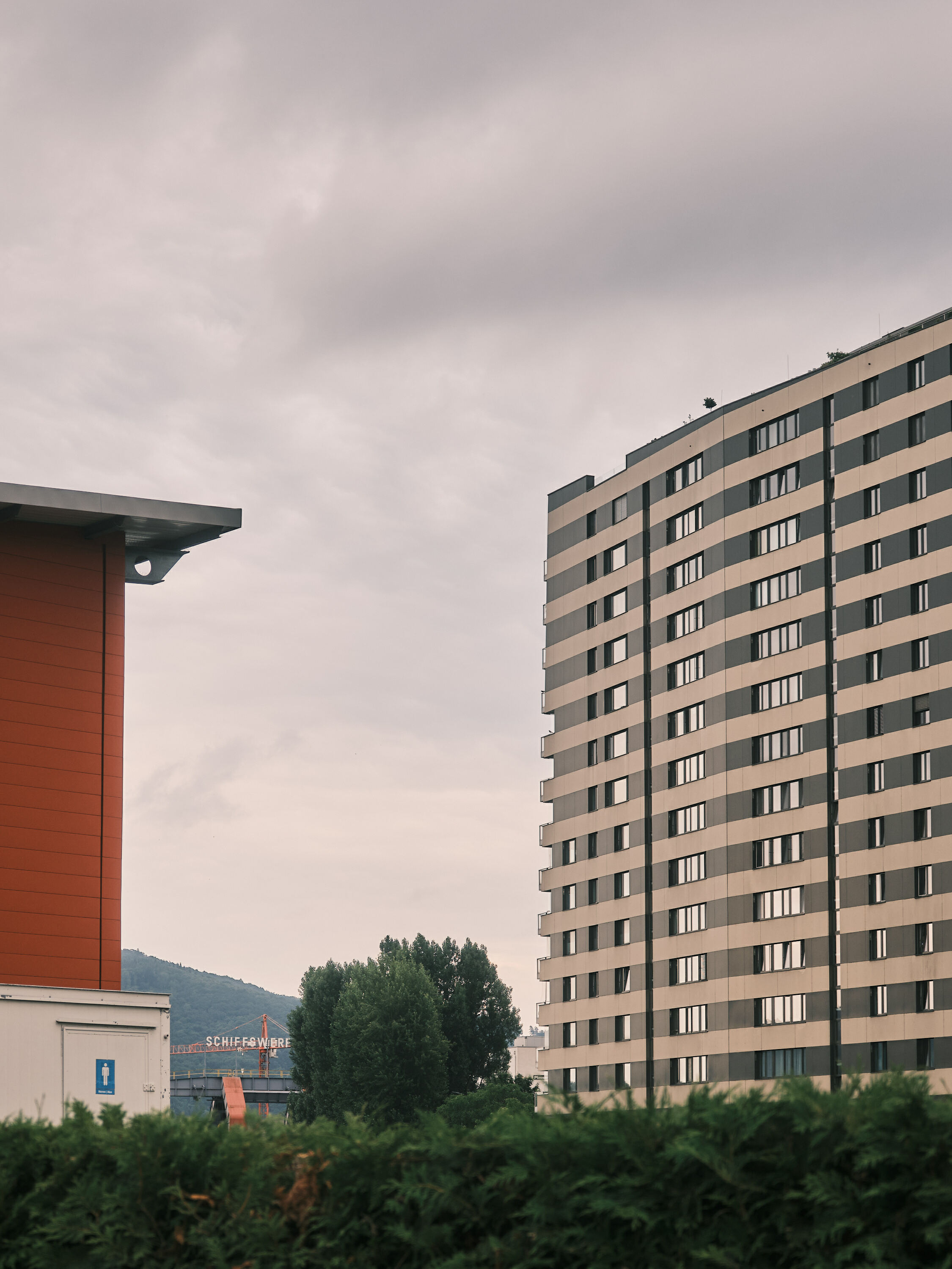 FUJIFILM GFX100 RF DSCF2275