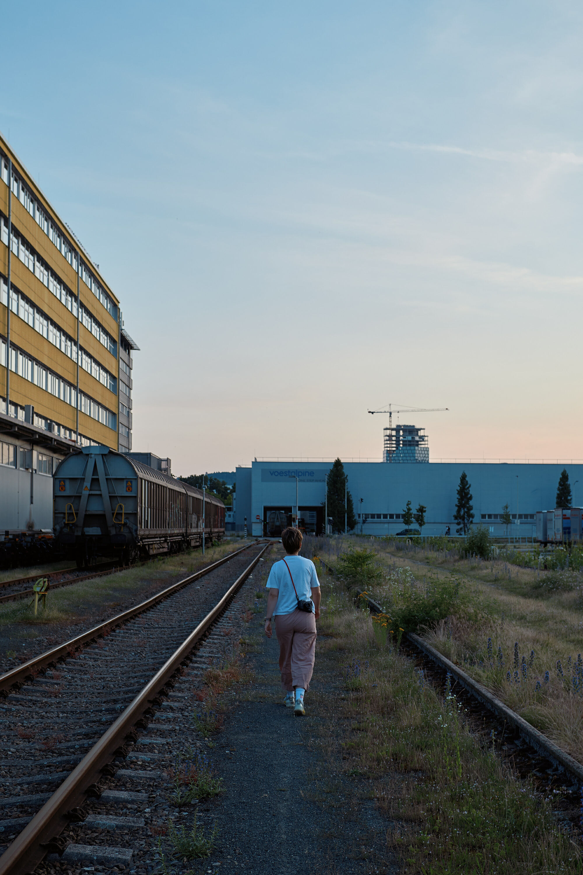 Leica Camera AG LEICA M11 P L1002666