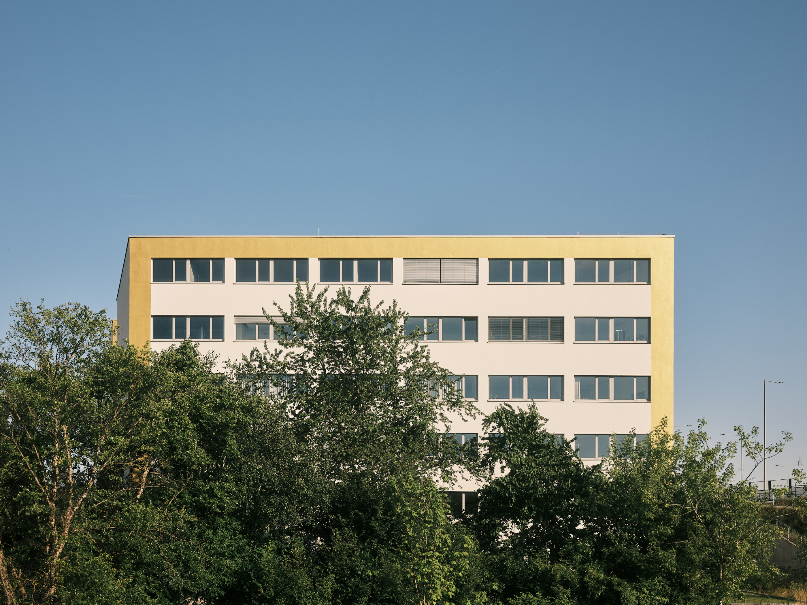 FUJIFILM GFX100 RF DSCF2296