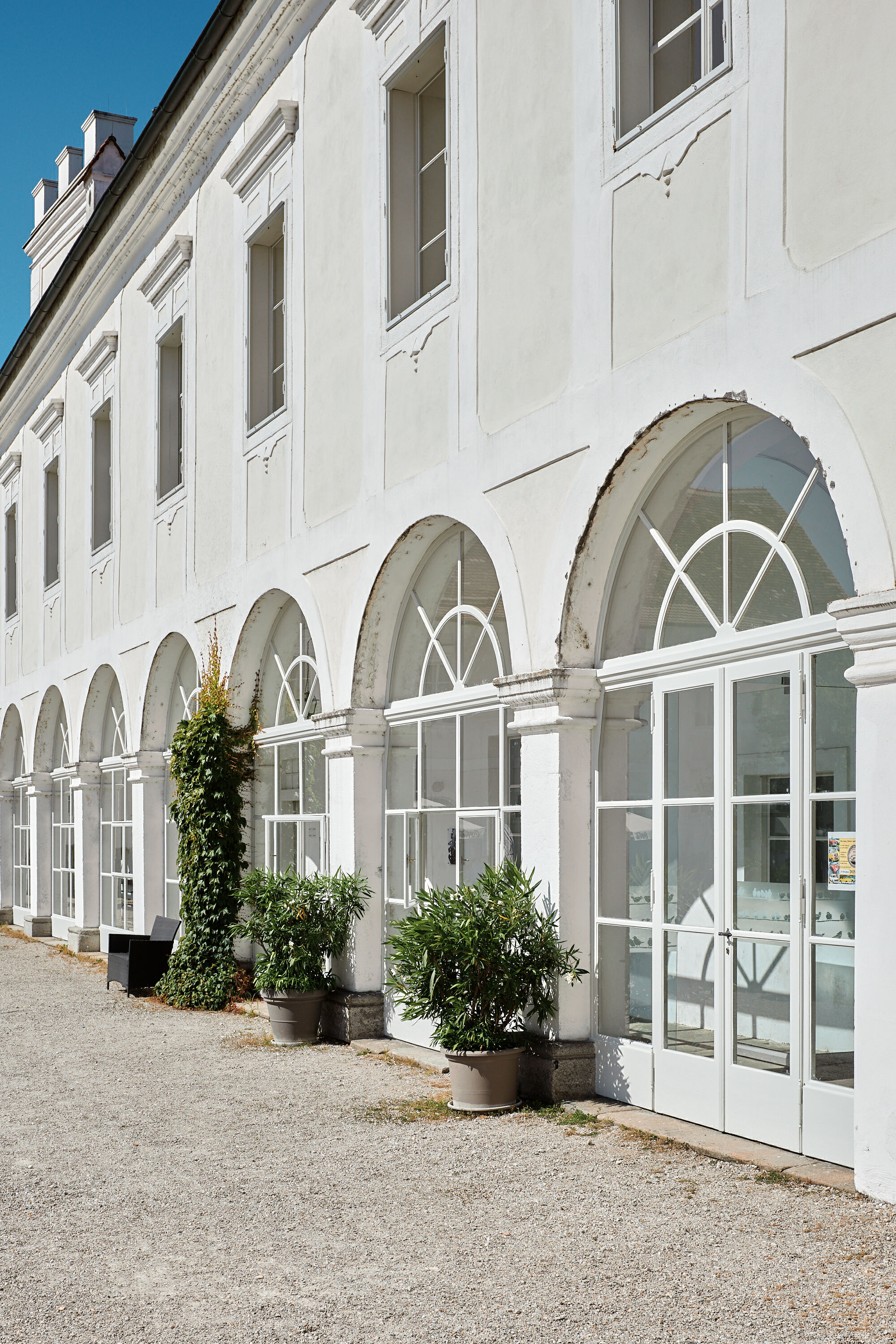 Leica Camera AG LEICA M11 P L1002822