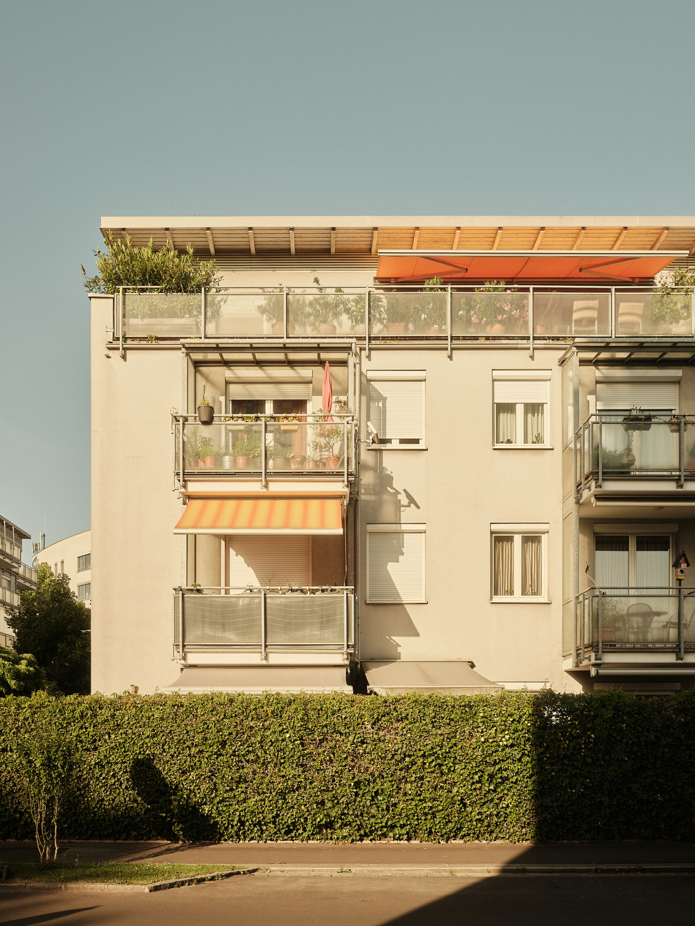 FUJIFILM GFX100 RF DSCF2318