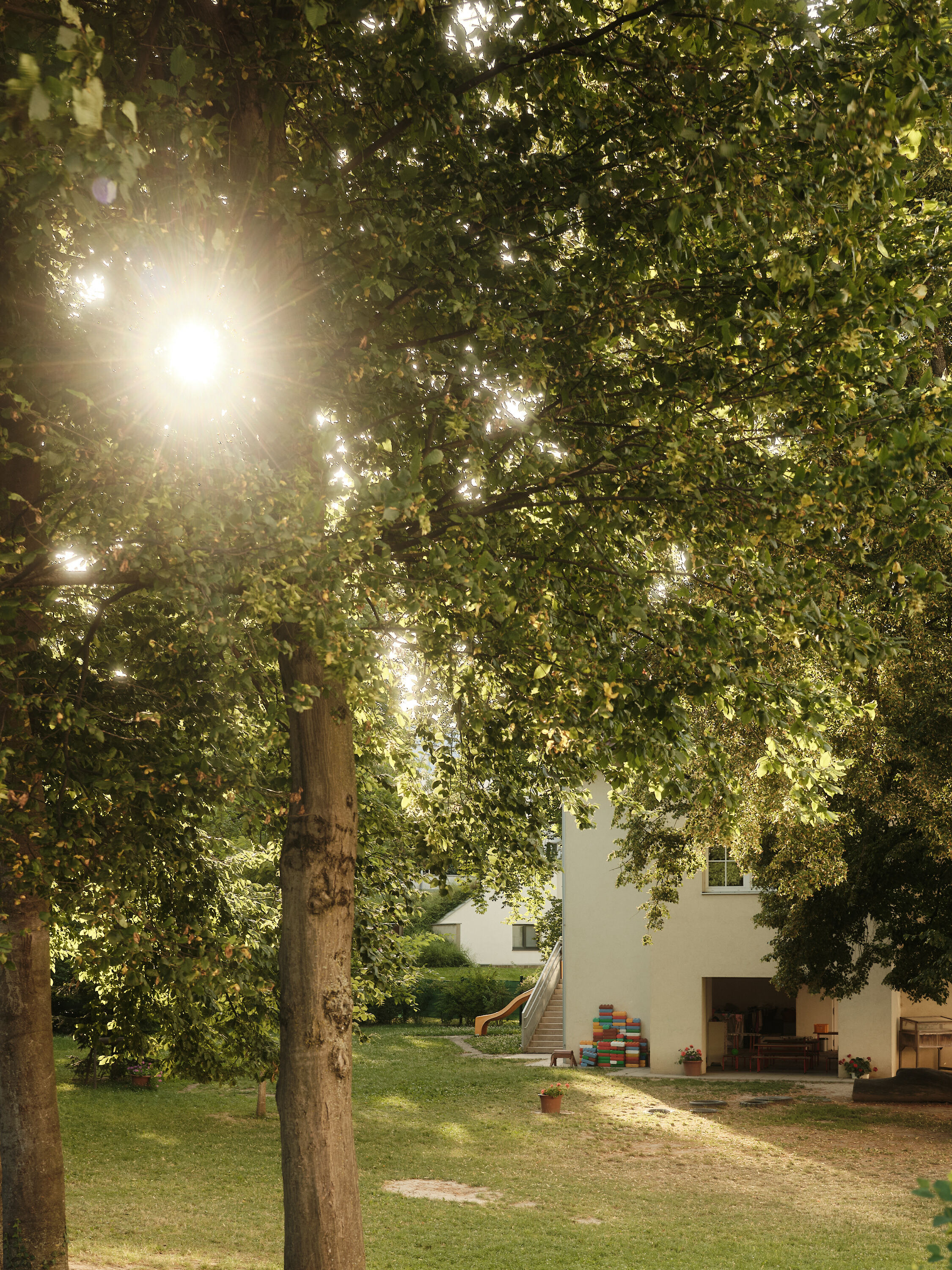 FUJIFILM GFX100 RF DSCF2330