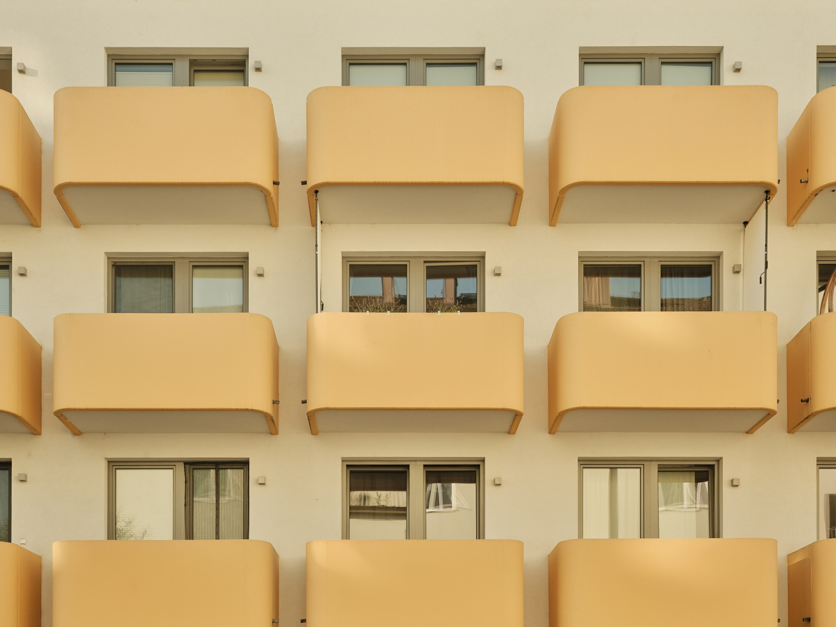 FUJIFILM GFX100 RF DSCF2339