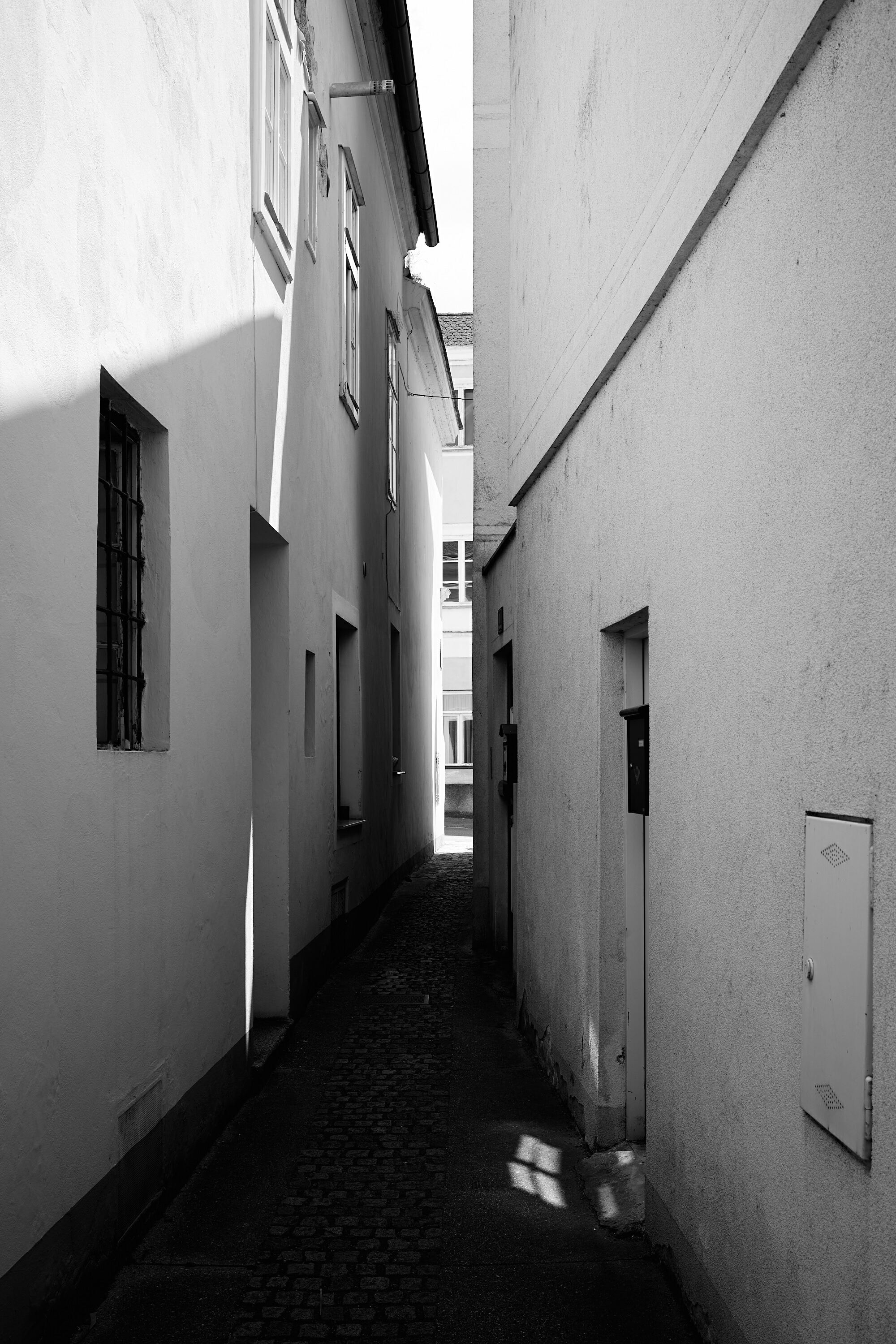 Leica Camera AG LEICA M11 P L1002928