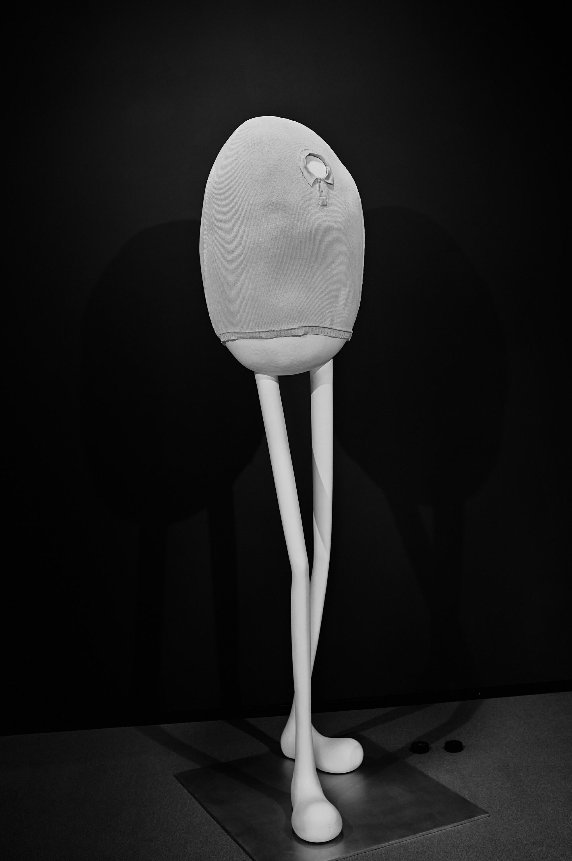 Leica Camera AG LEICA M11 P L1003013