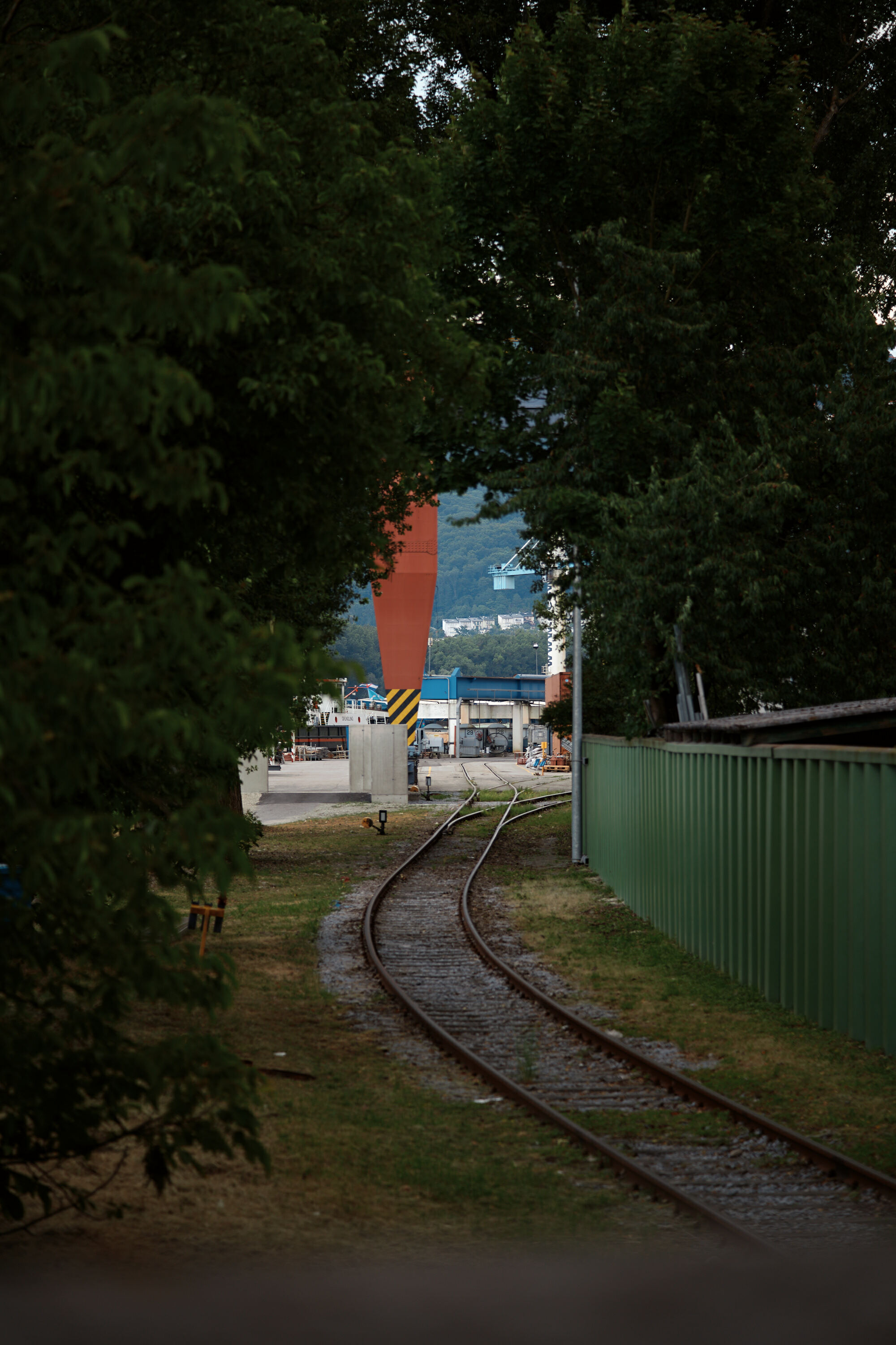 Leica Camera AG LEICA M11 P L1003099