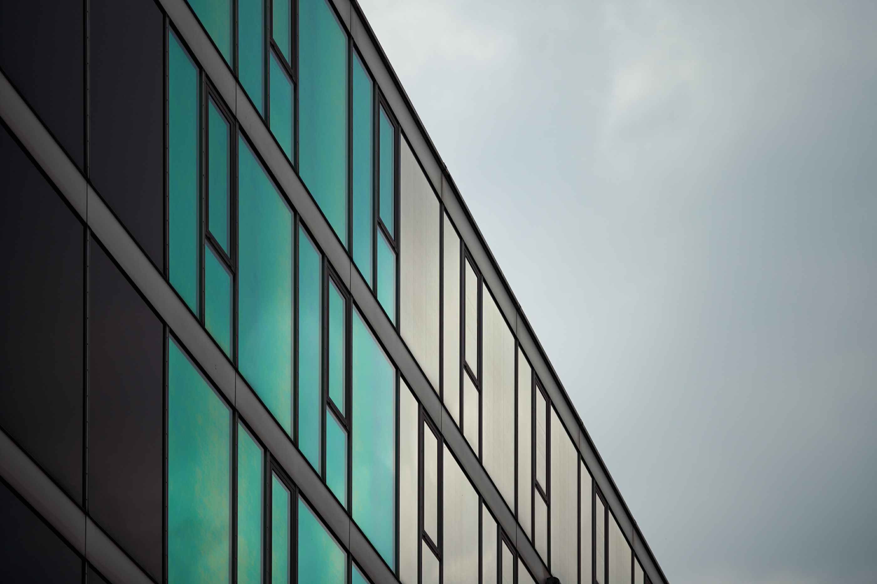 Leica Camera AG LEICA M11 P L1003107