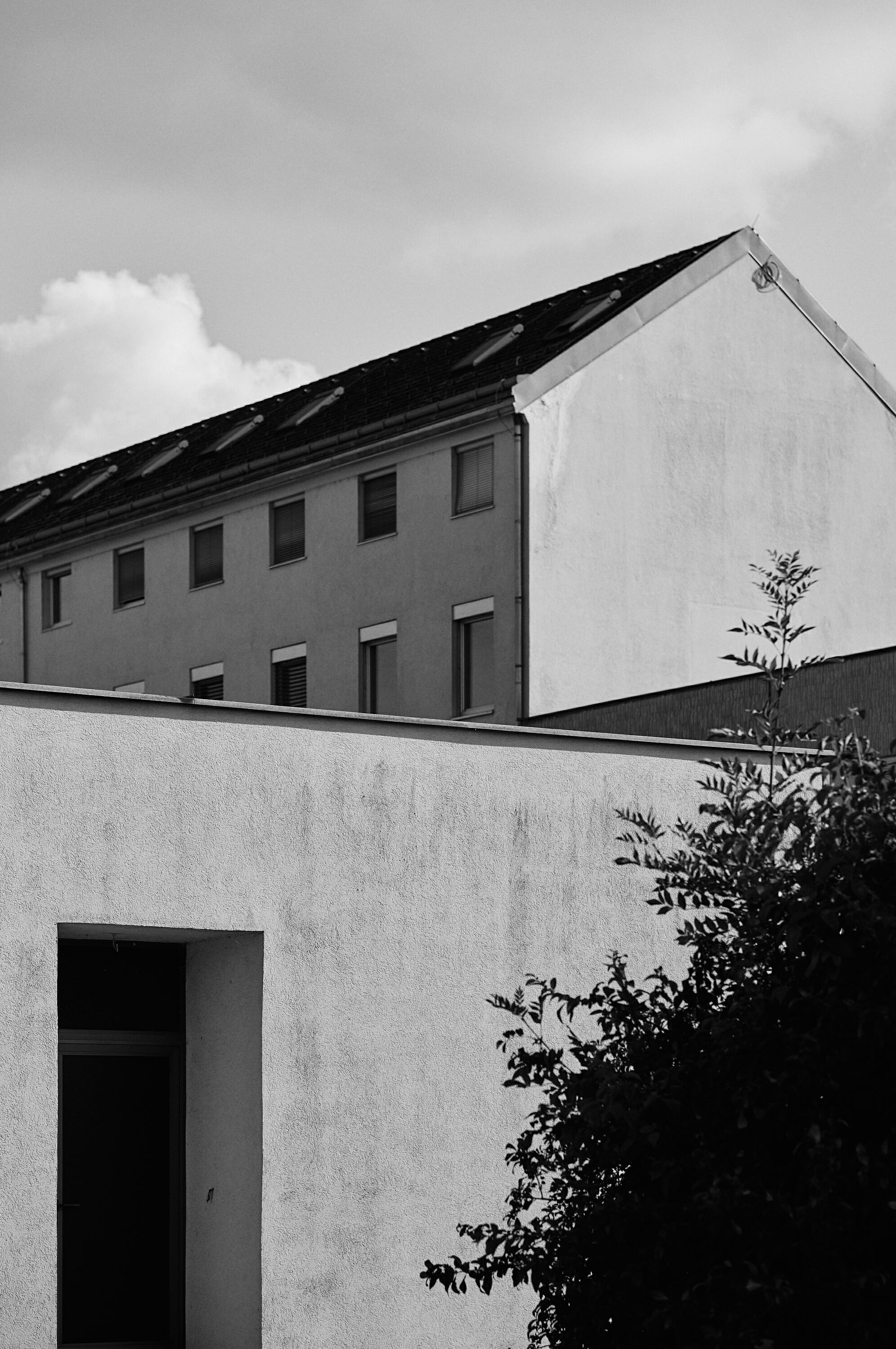 Leica Camera AG LEICA M11 P L1003167