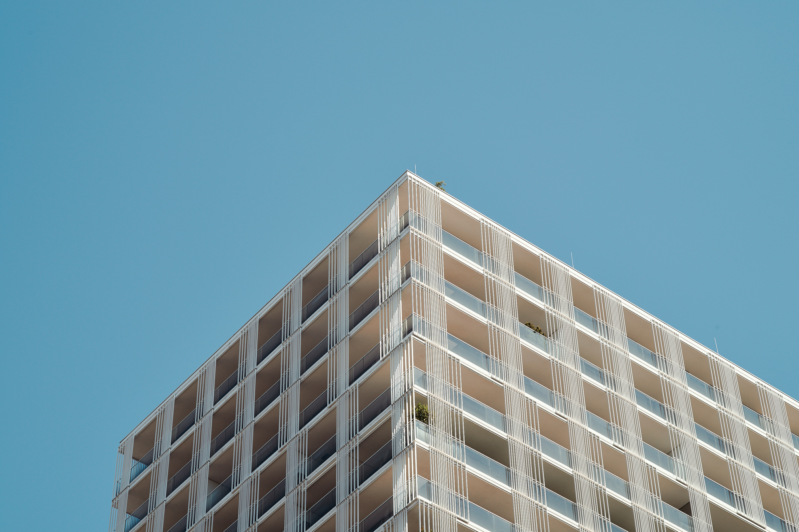 Leica Camera AG LEICA M11 P L1003195