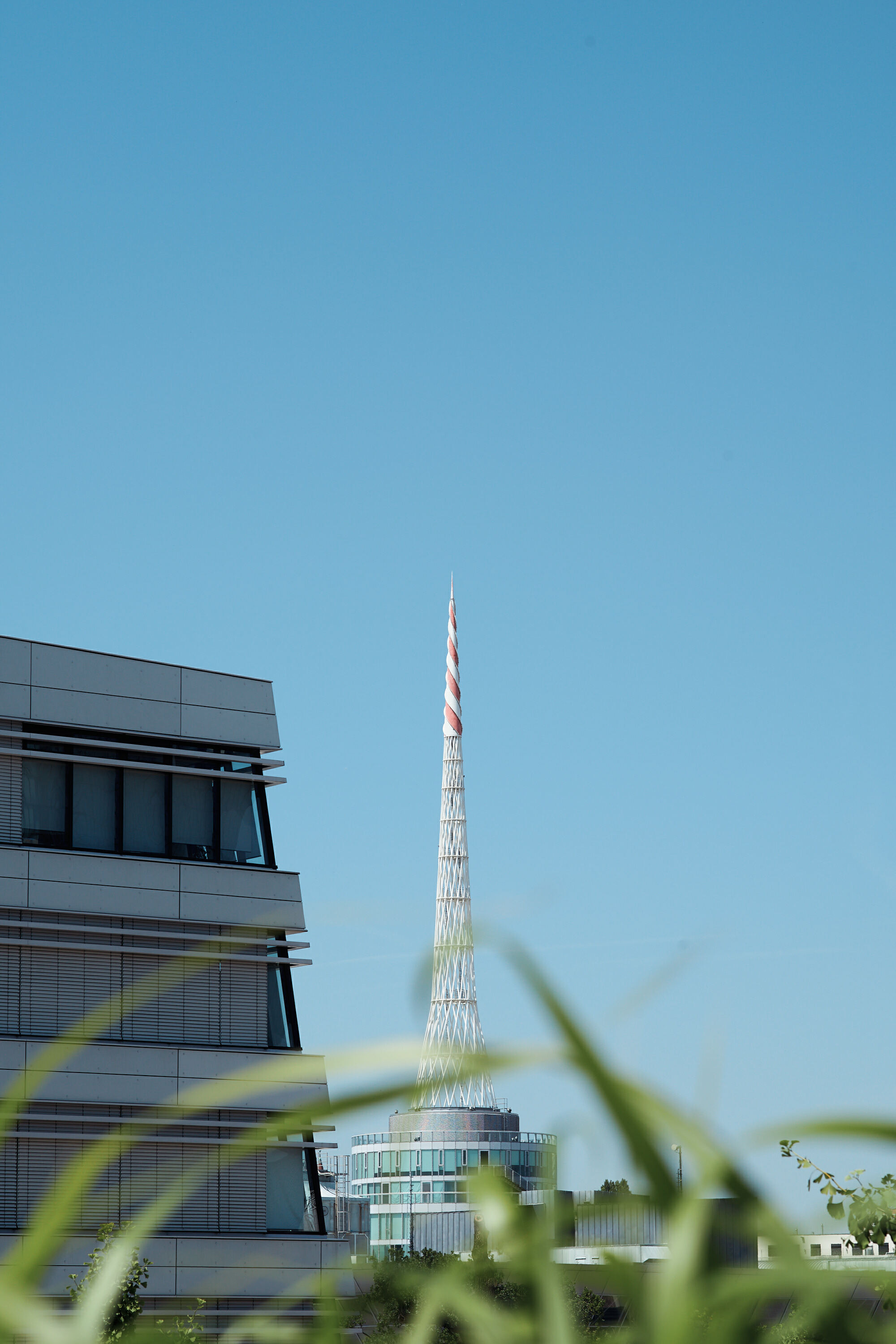 Leica Camera AG LEICA M11 P L1003286