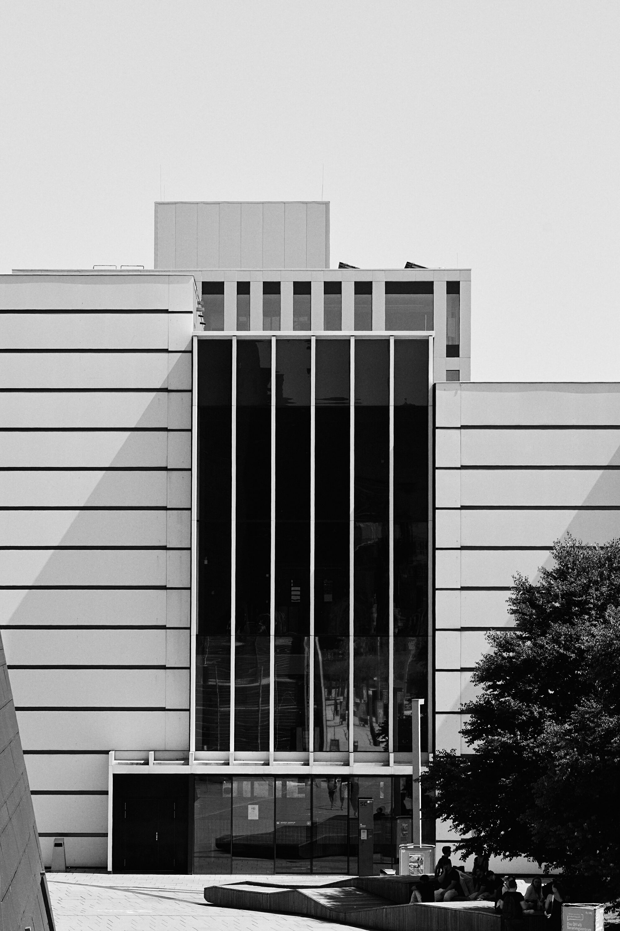 Leica Camera AG LEICA M11 P L1003293