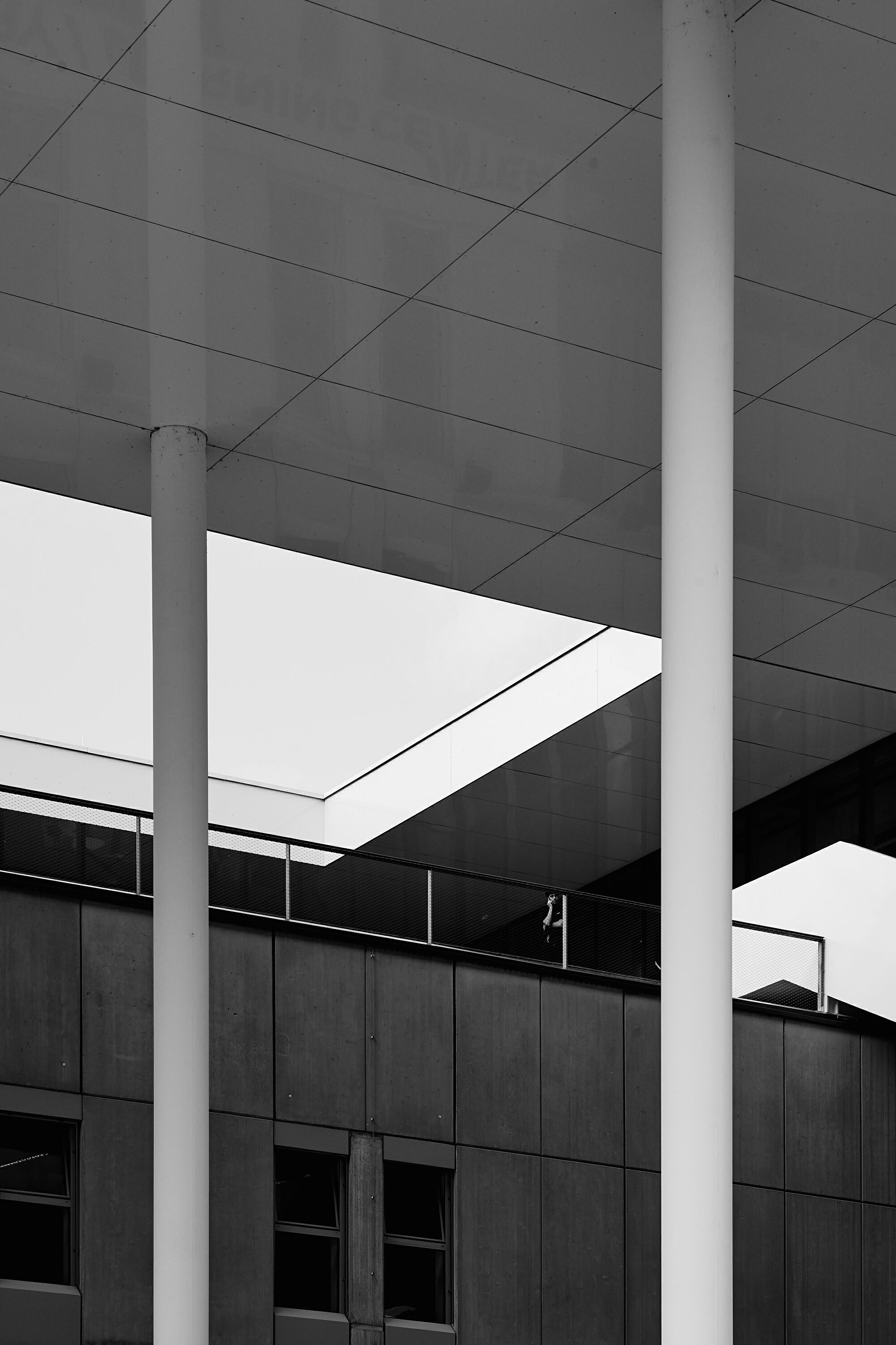 Leica Camera AG LEICA M11 P L1003395