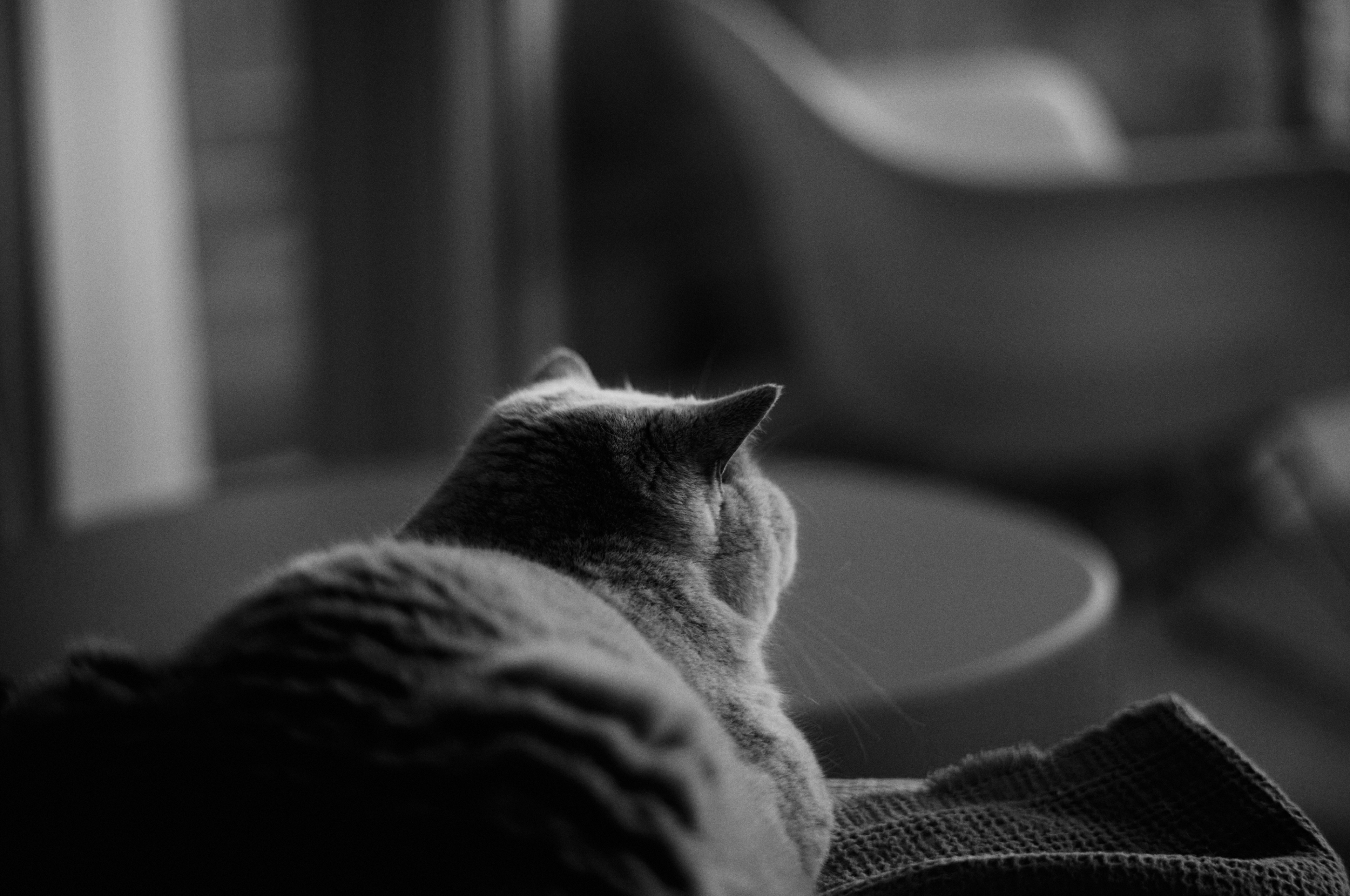 Leica Camera AG LEICA M11 P L1003453