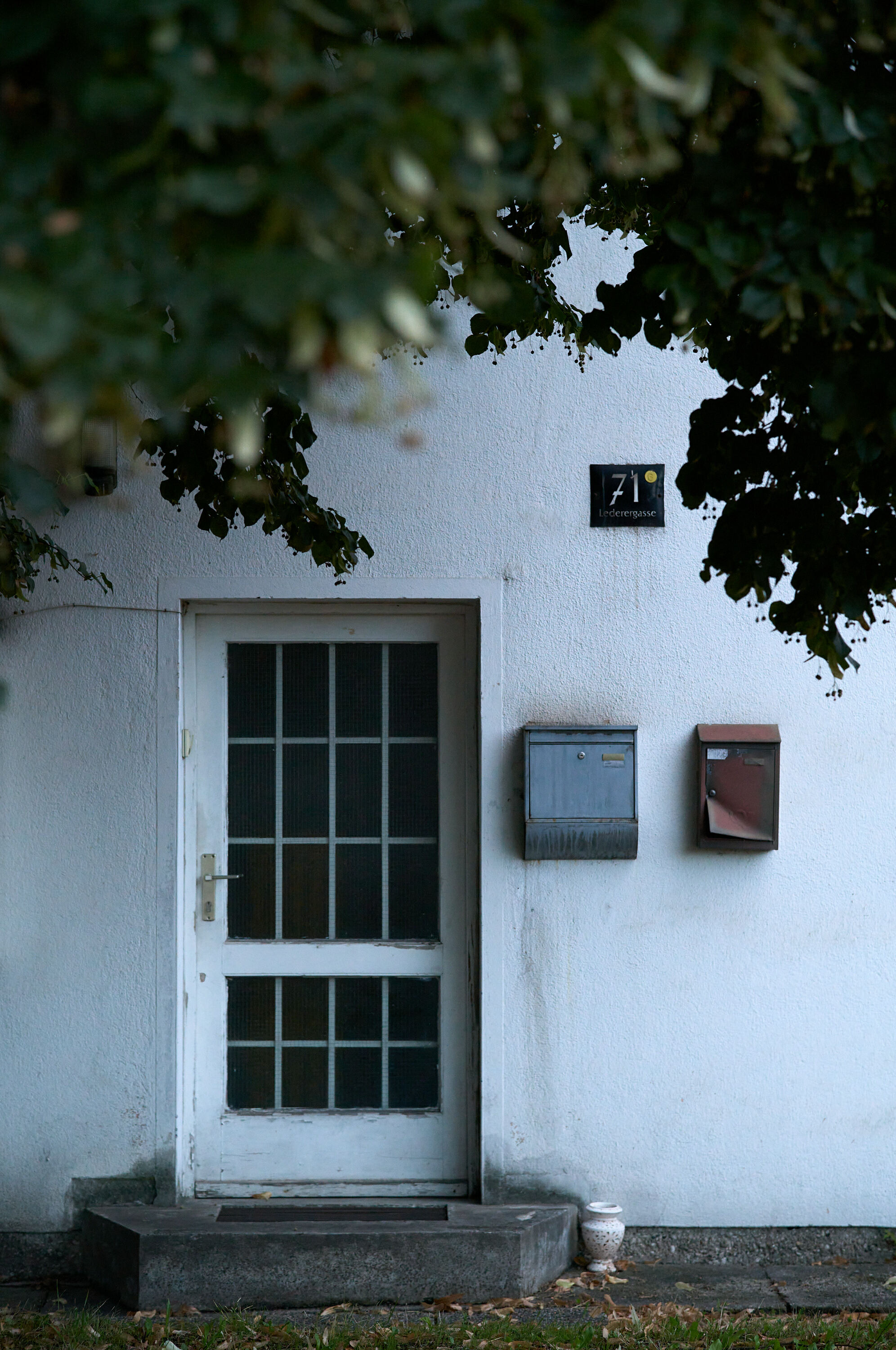 Leica Camera AG LEICA M11 P L1003490