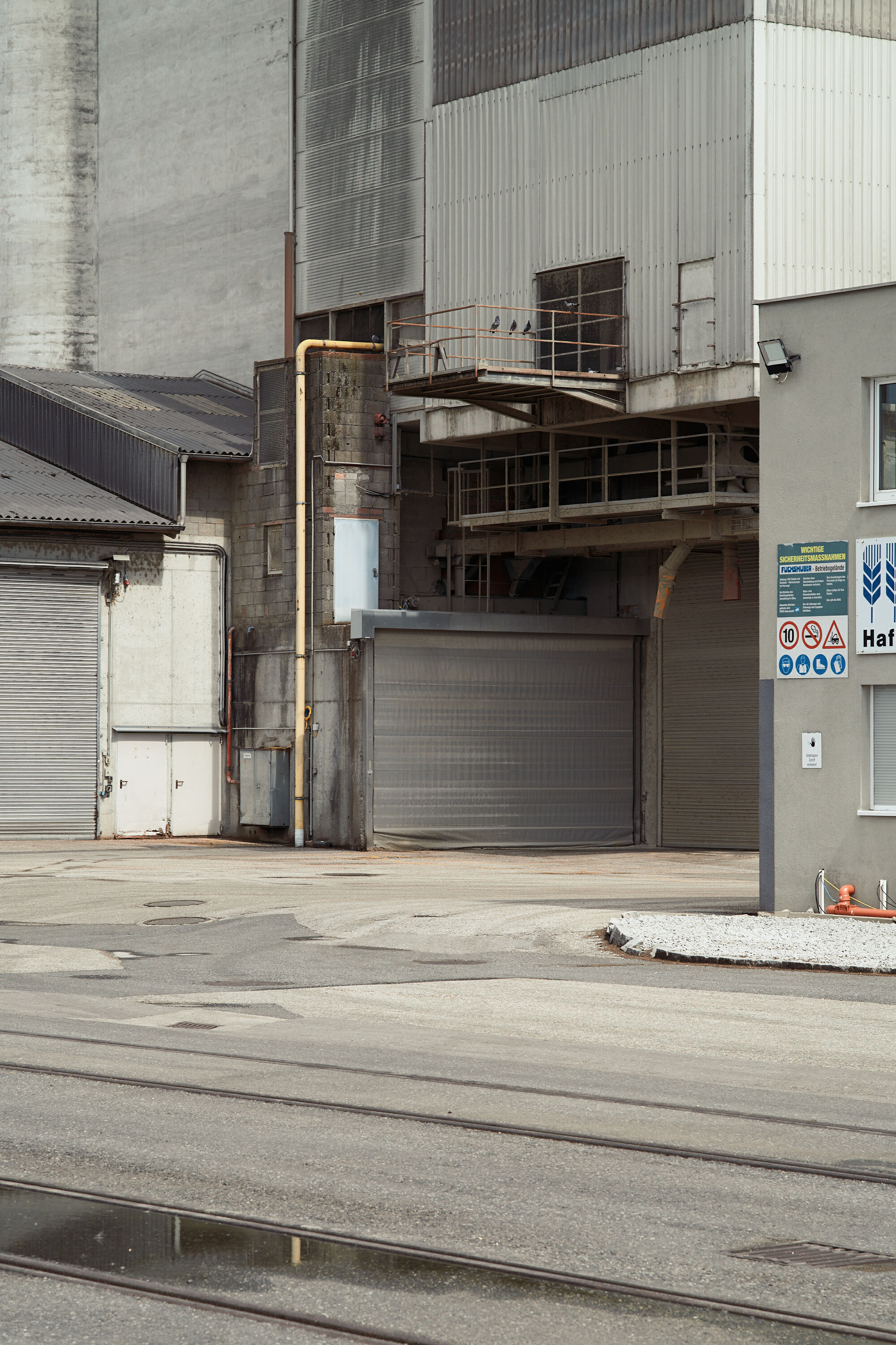 Leica Camera AG LEICA M11 P L1003572