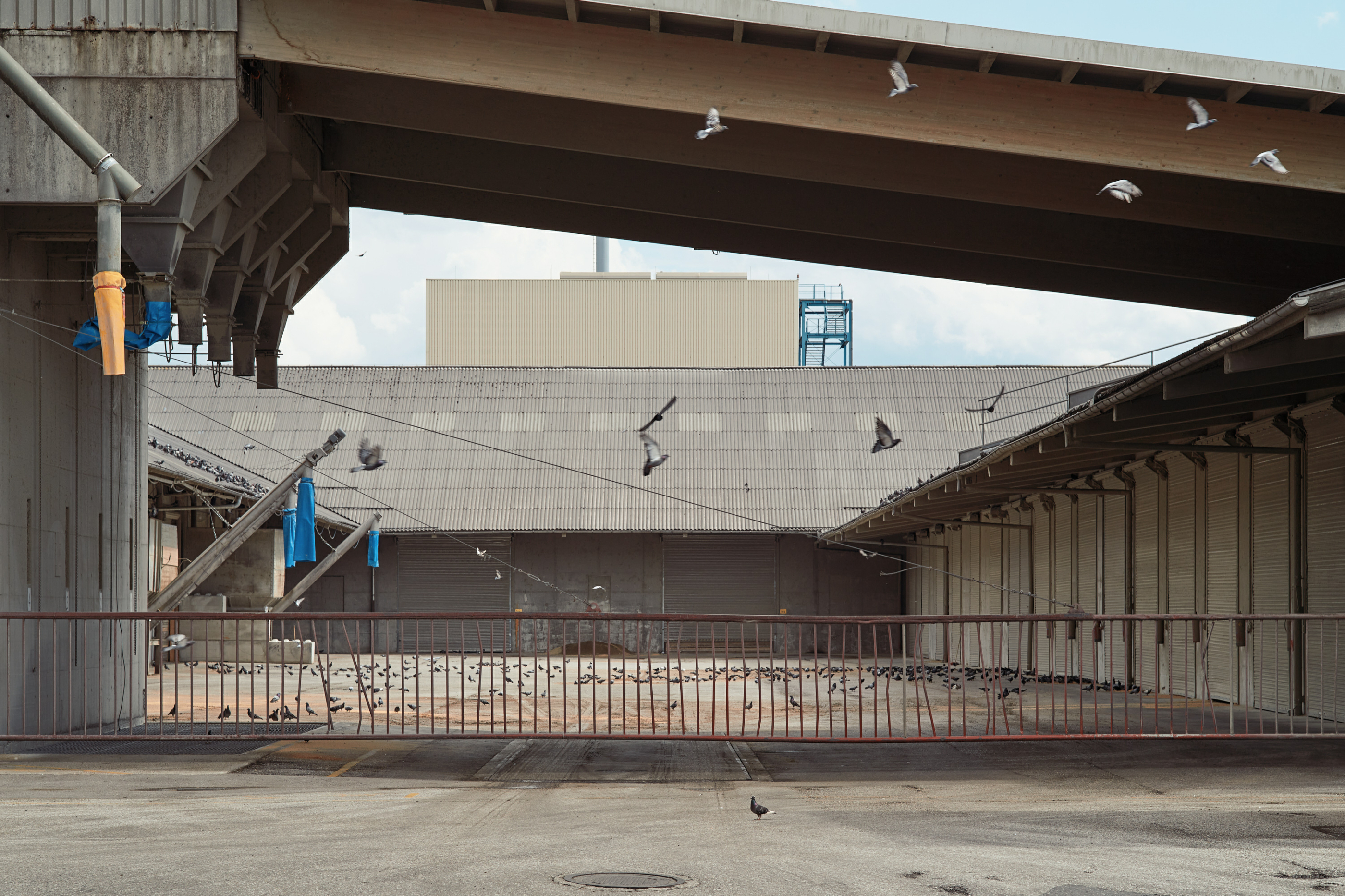 Leica Camera AG LEICA M11 P L1003578