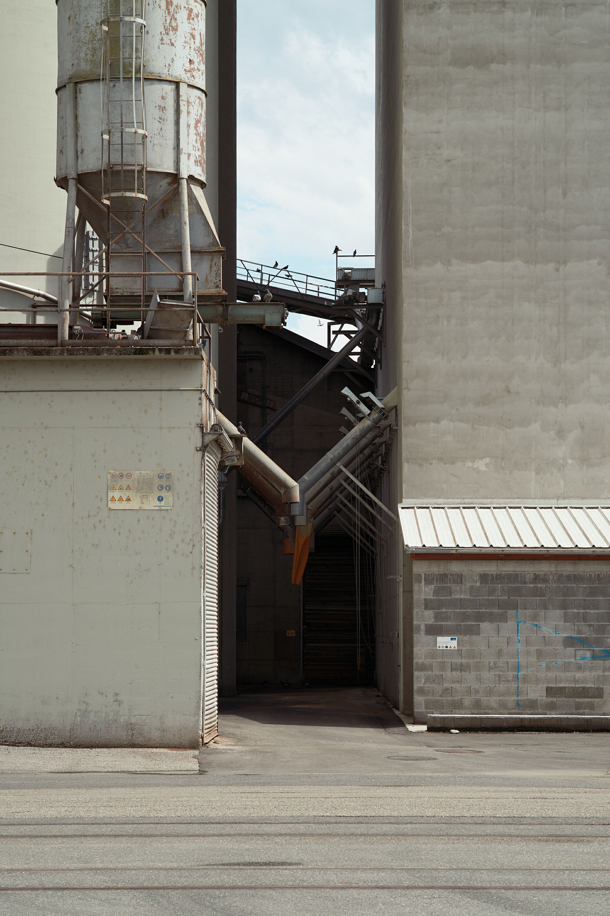 Leica Camera AG LEICA M11 P L1003585