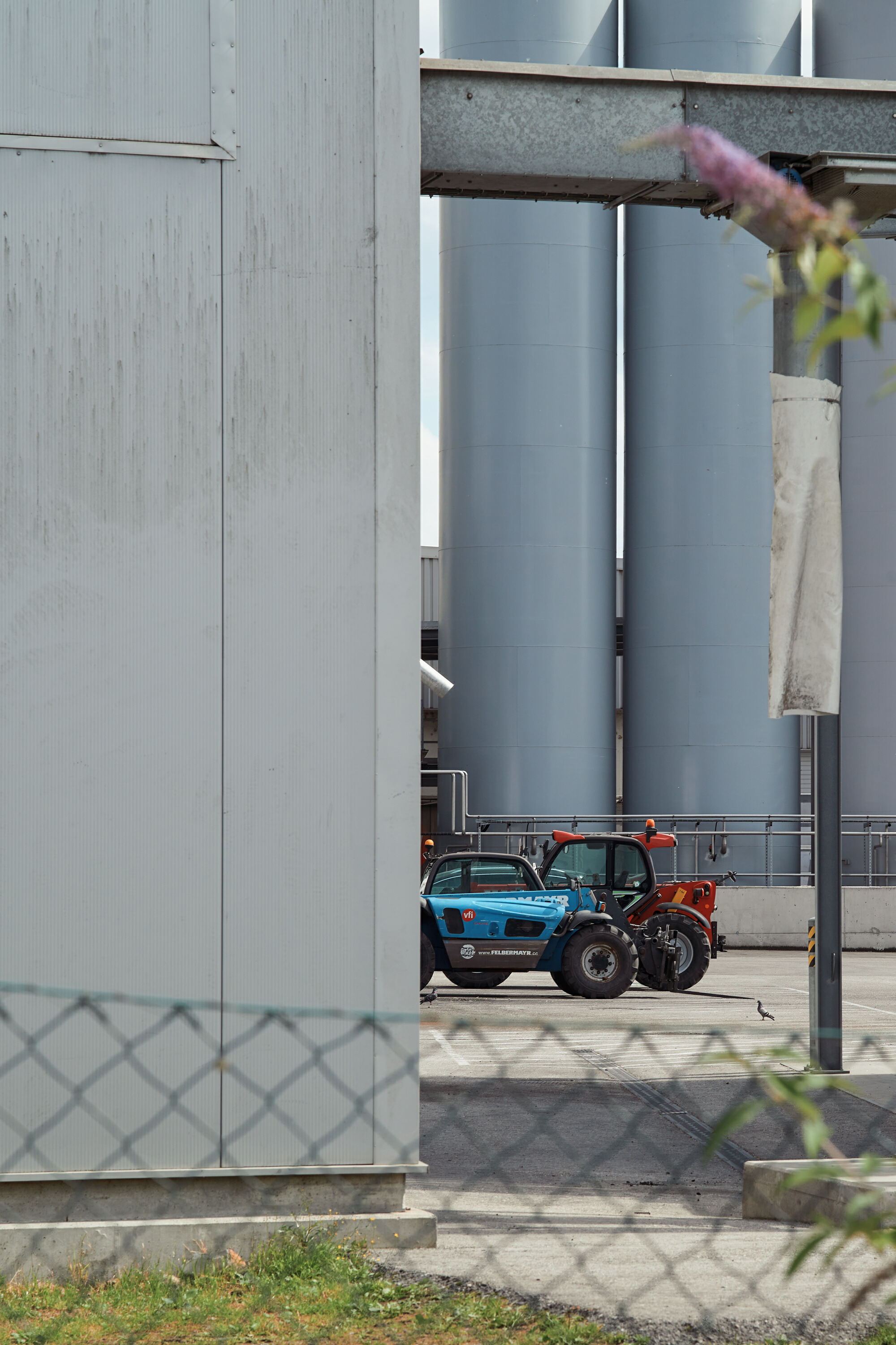 Leica Camera AG LEICA M11 P L1003595
